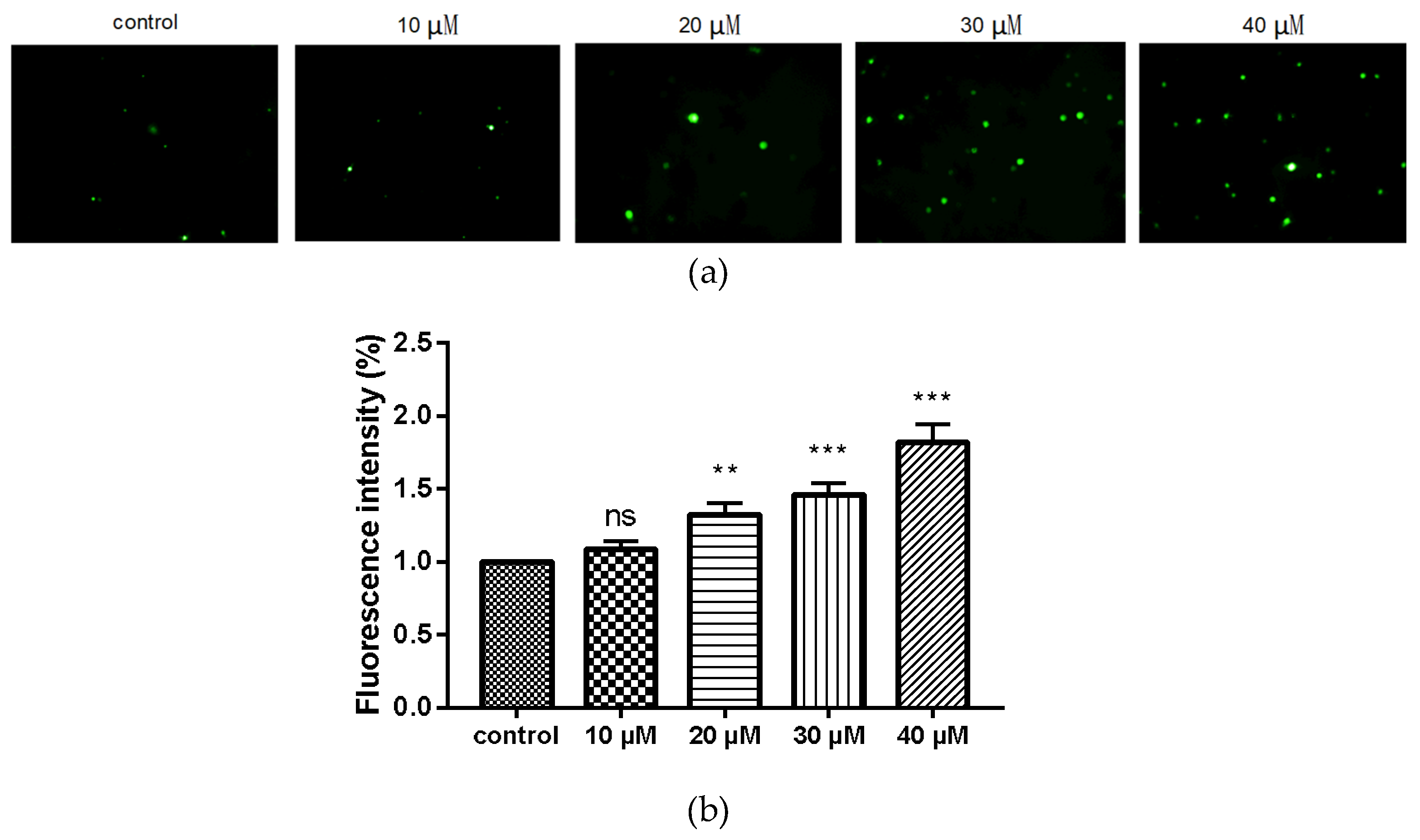 Molecules 26 00786 g005 Molecules 26 00786 g005