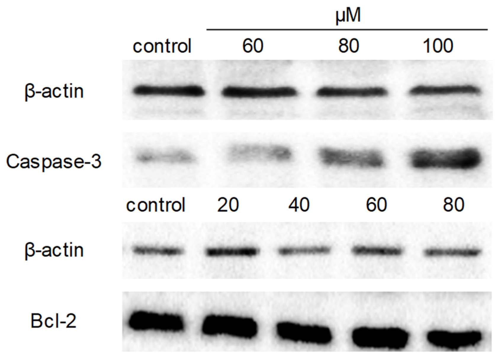 Molecules 26 00786 g006 Molecules 26 00786 g006
