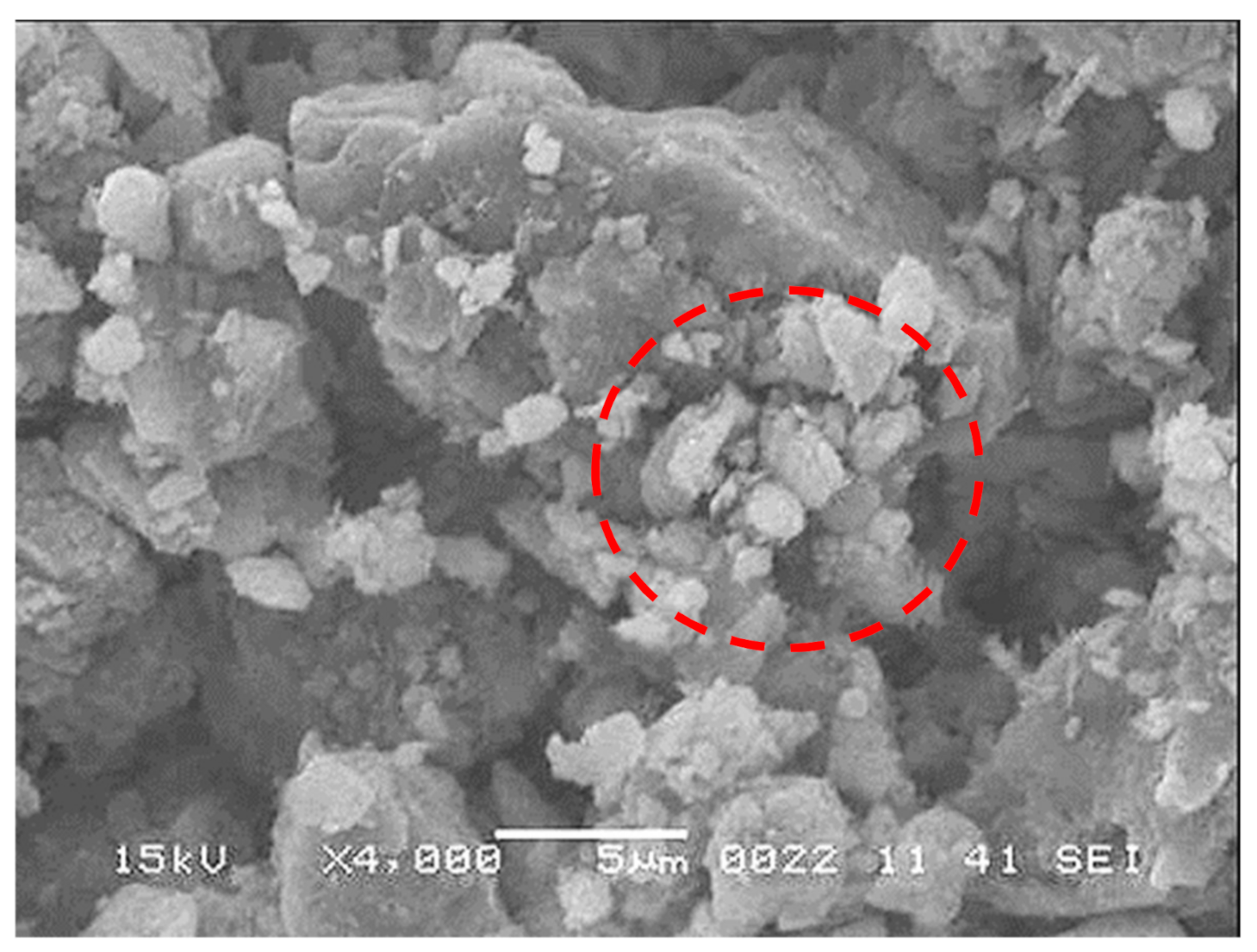 Molecules 26 00789 g004