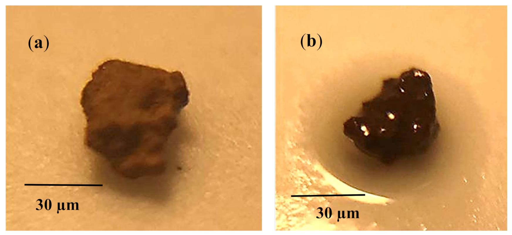 Molecules 26 00789 g005