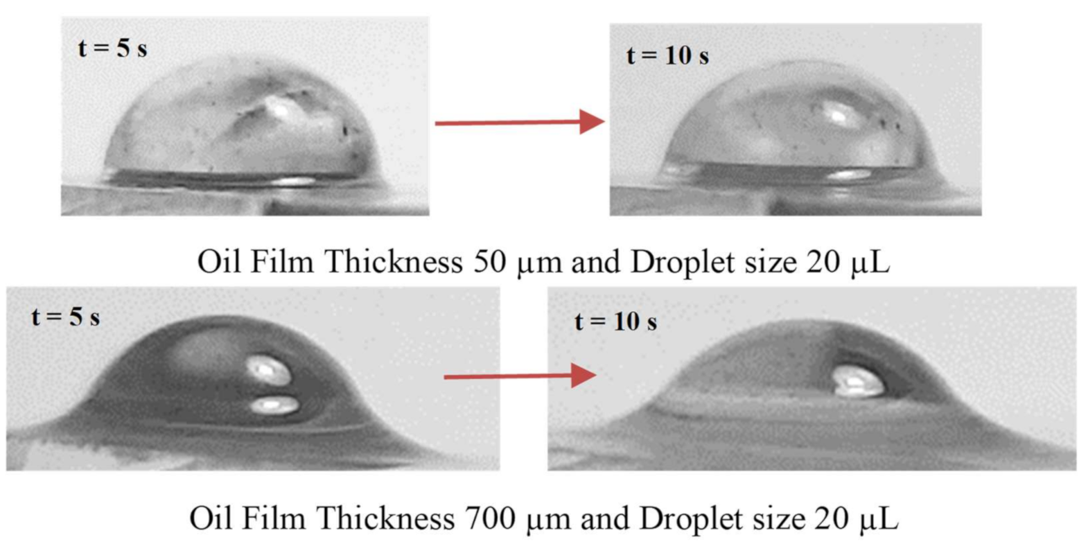 Molecules 26 00789 g007