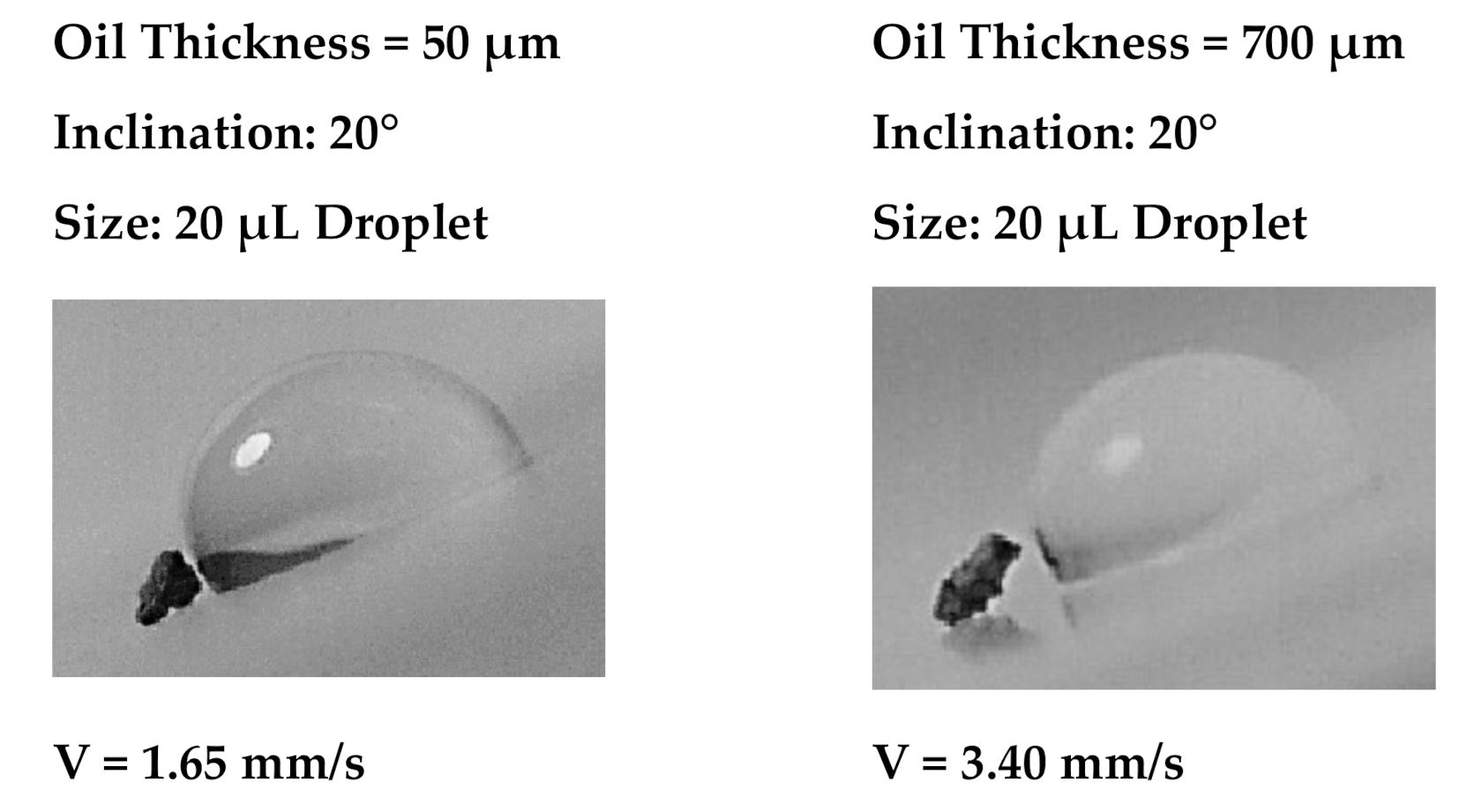 Molecules 26 00789 g010a