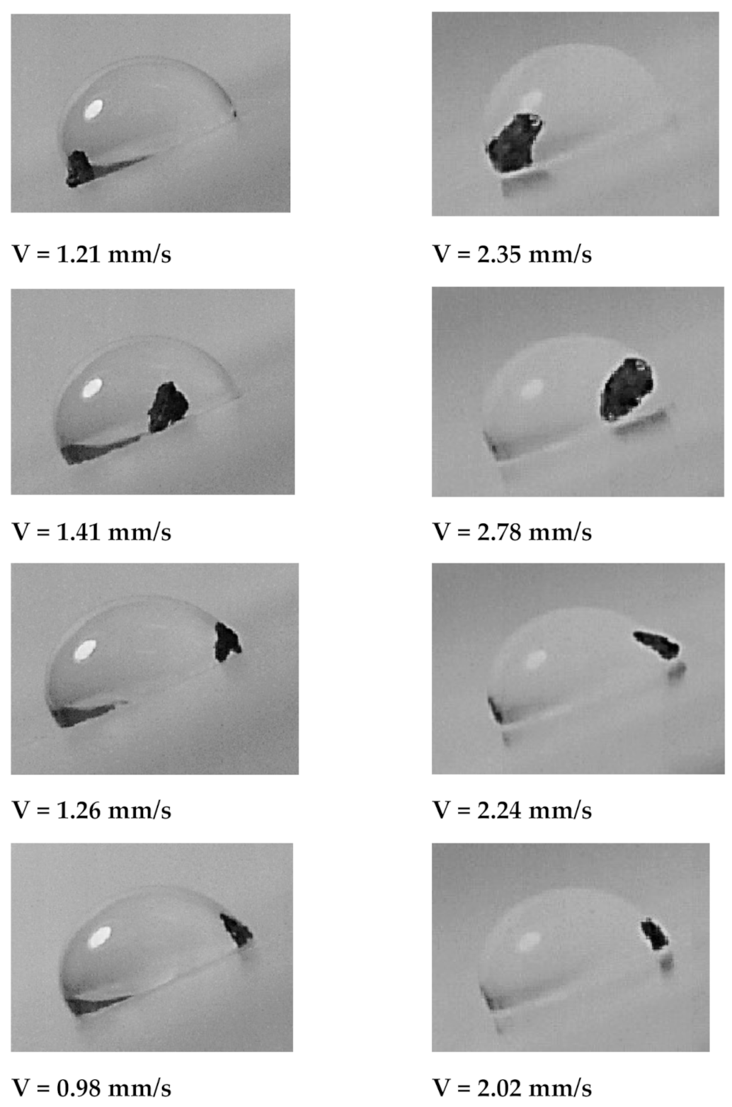 Molecules 26 00789 g010b