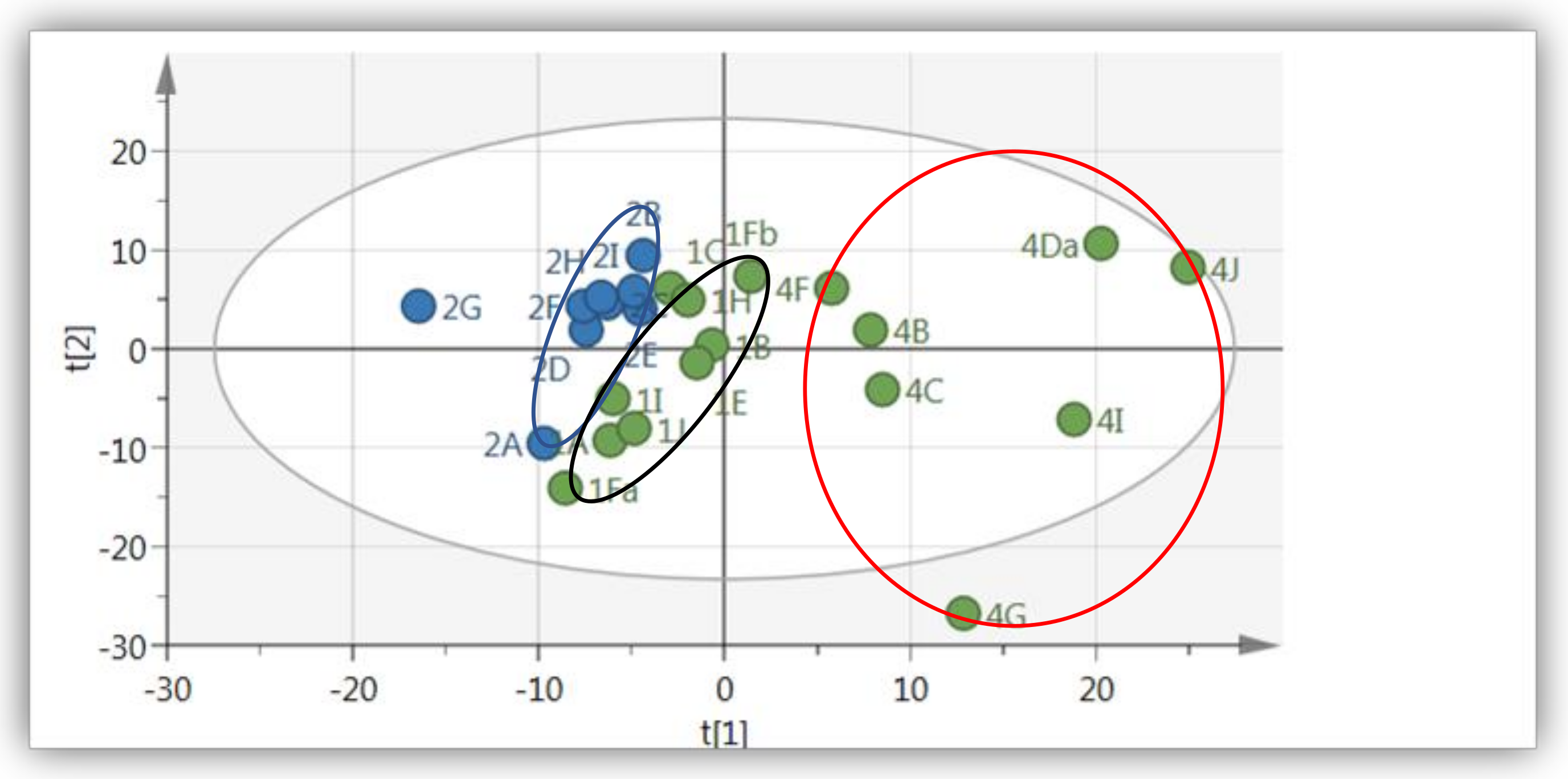Molecules 26 00795 g001
