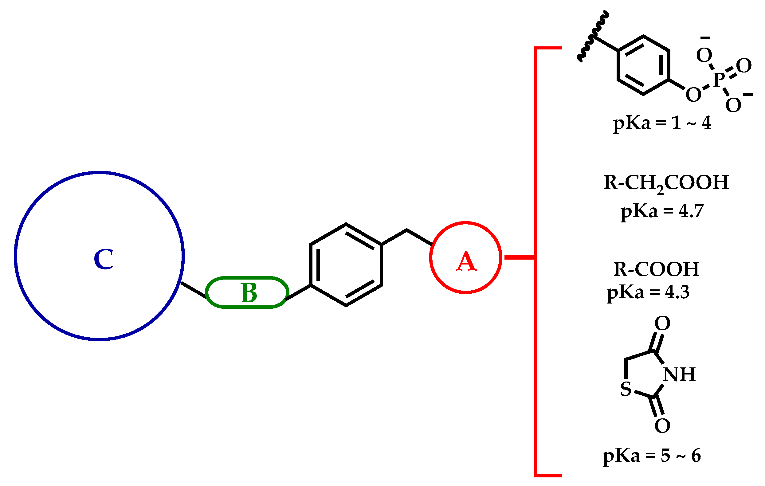 Molecules 26 00799 g001