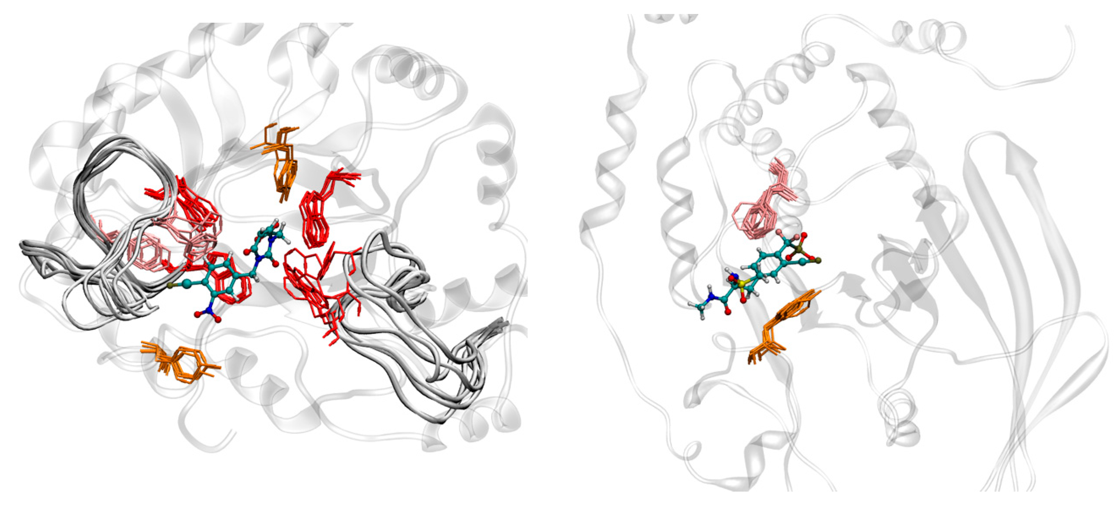 Molecules 26 00799 g003