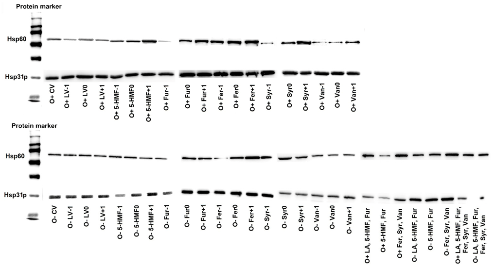 Molecules 26 00806 g008