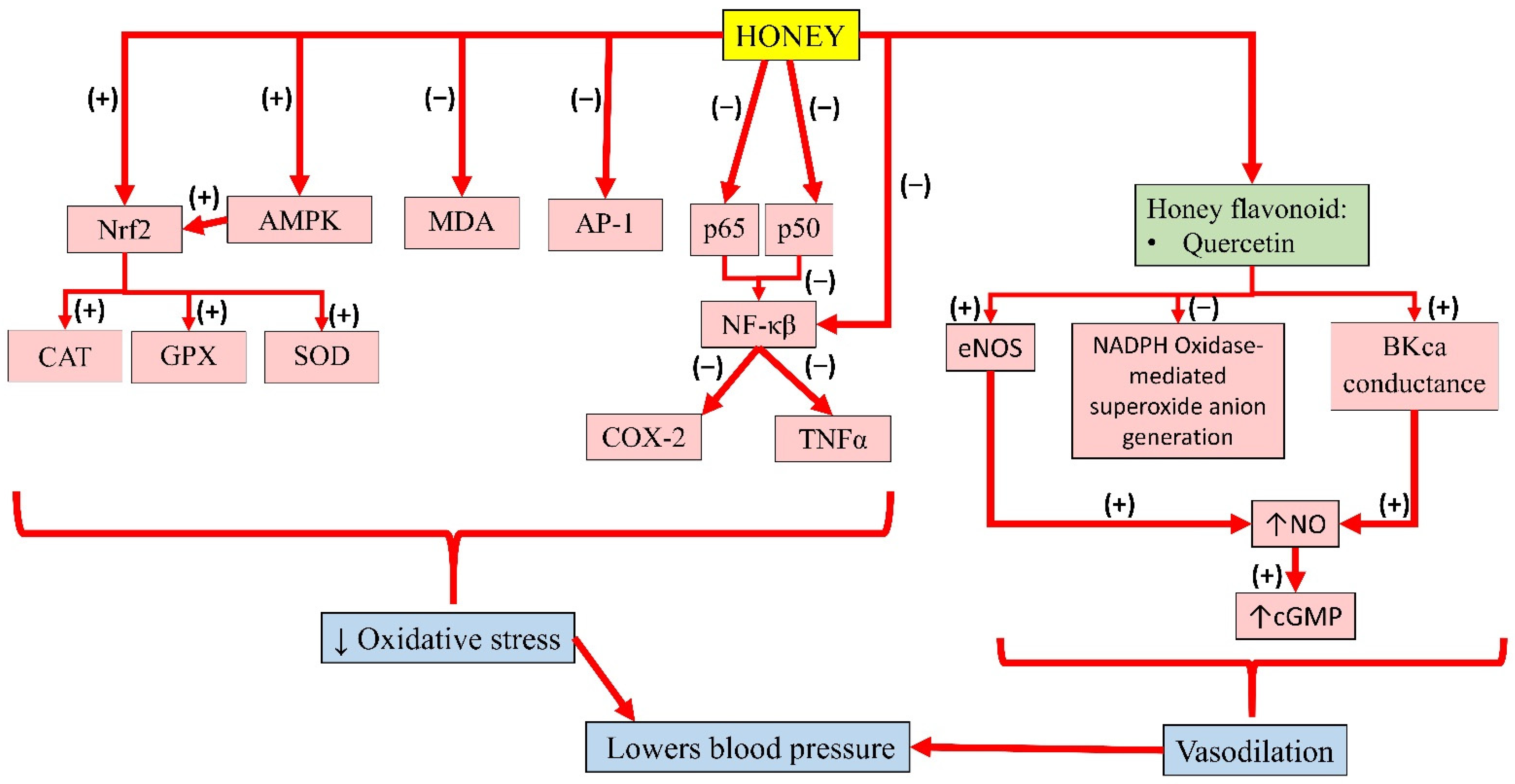 Molecules 26 00808 g004