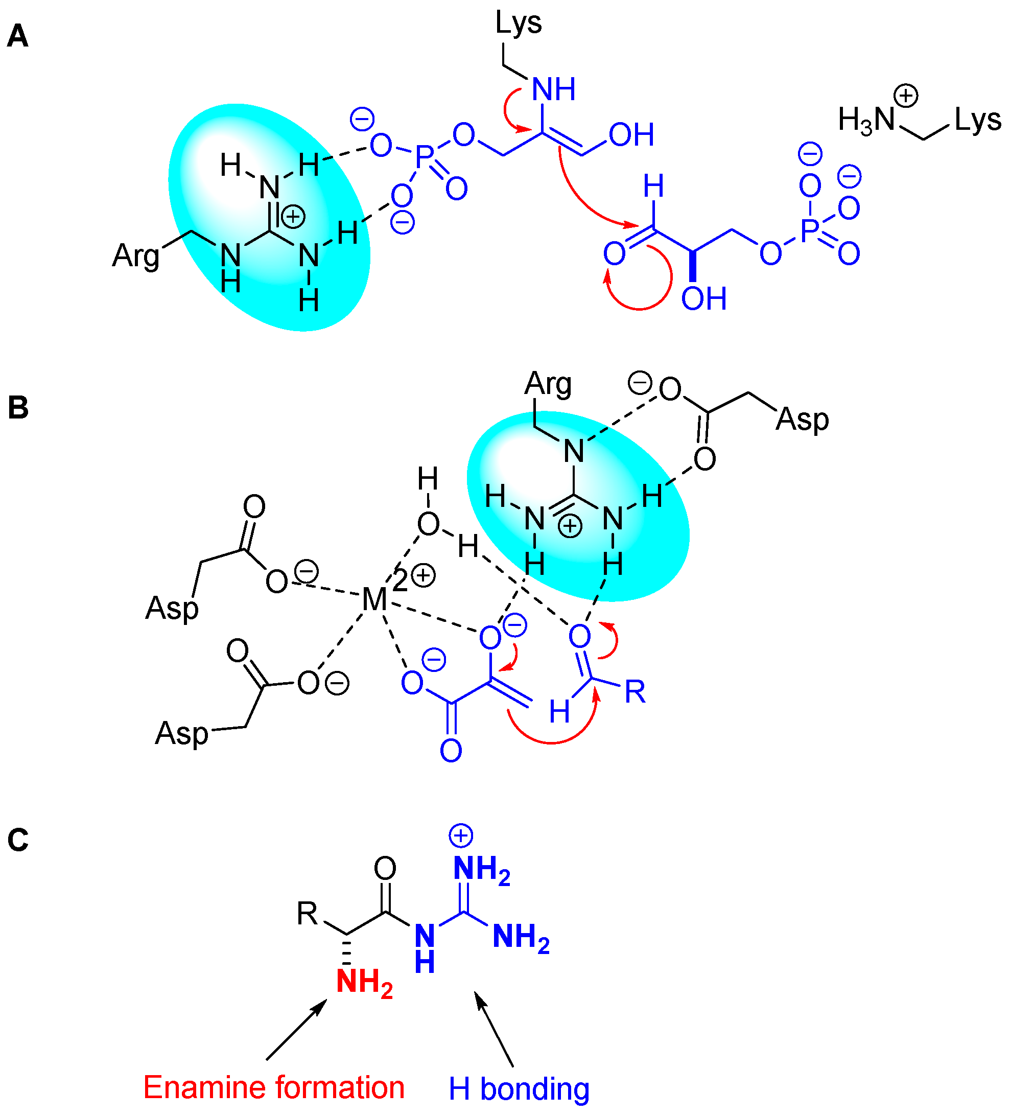 Molecules 26 00826 g001