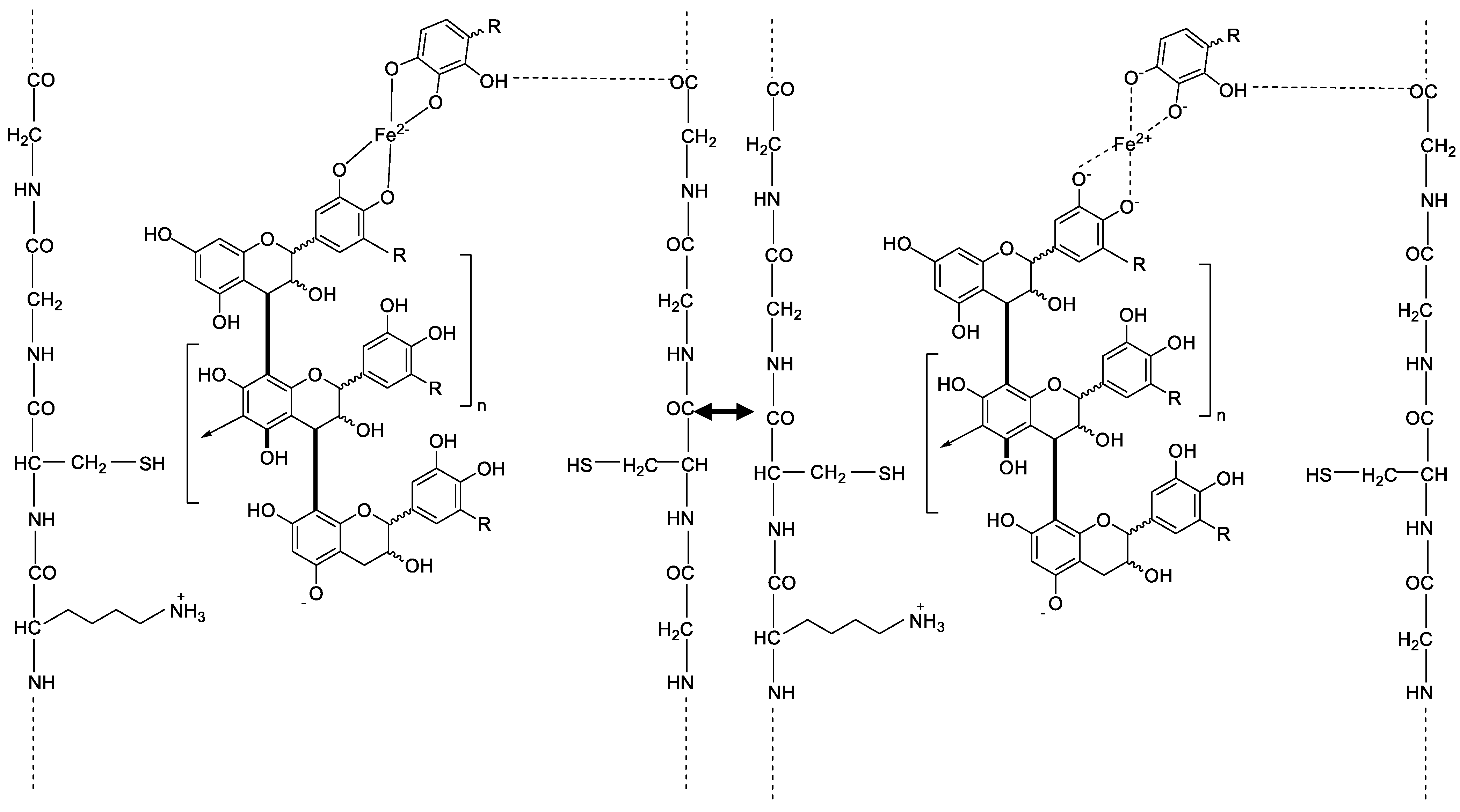 Molecules 26 00829 g007