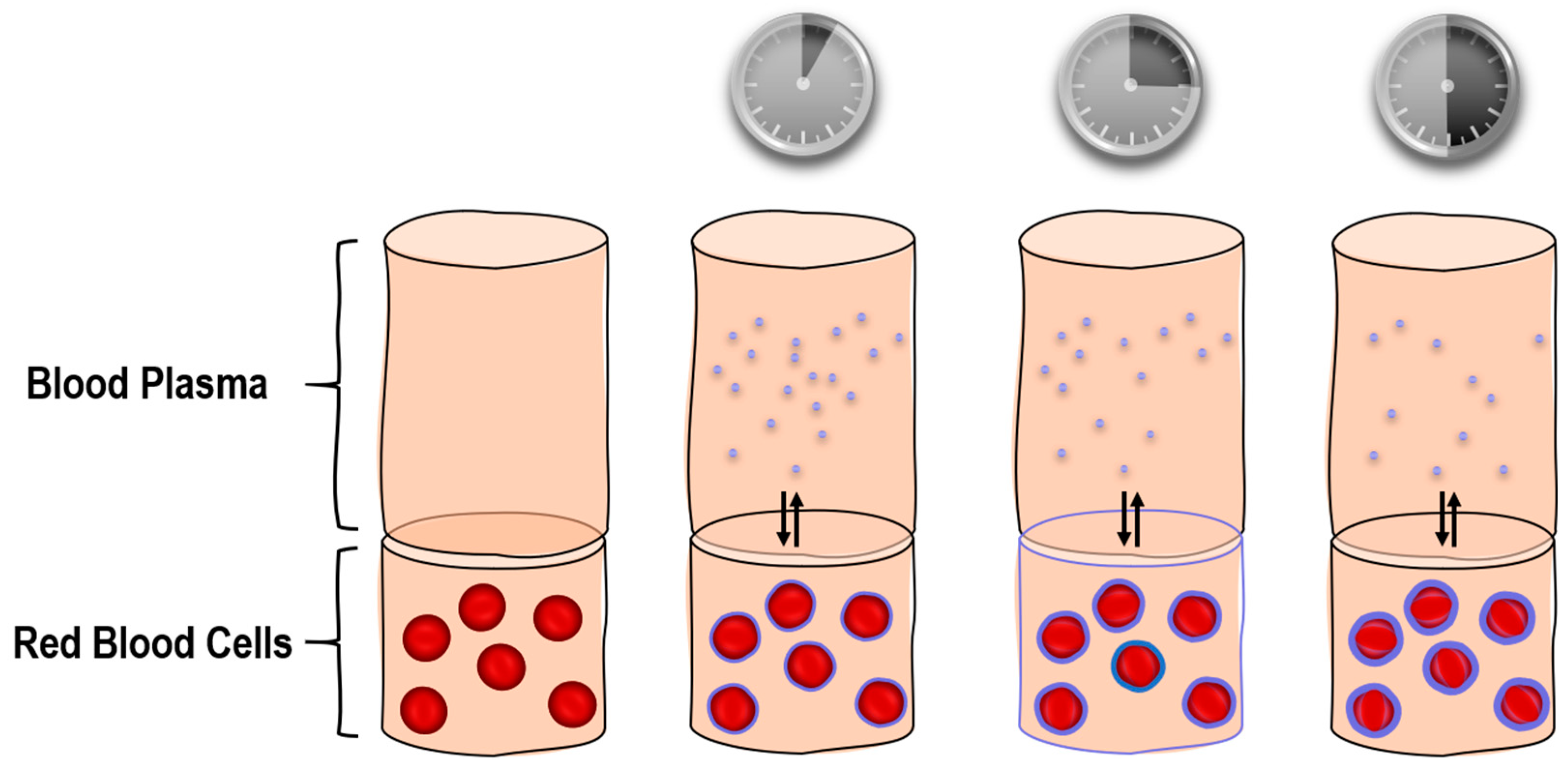 Molecules 26 00831 g004