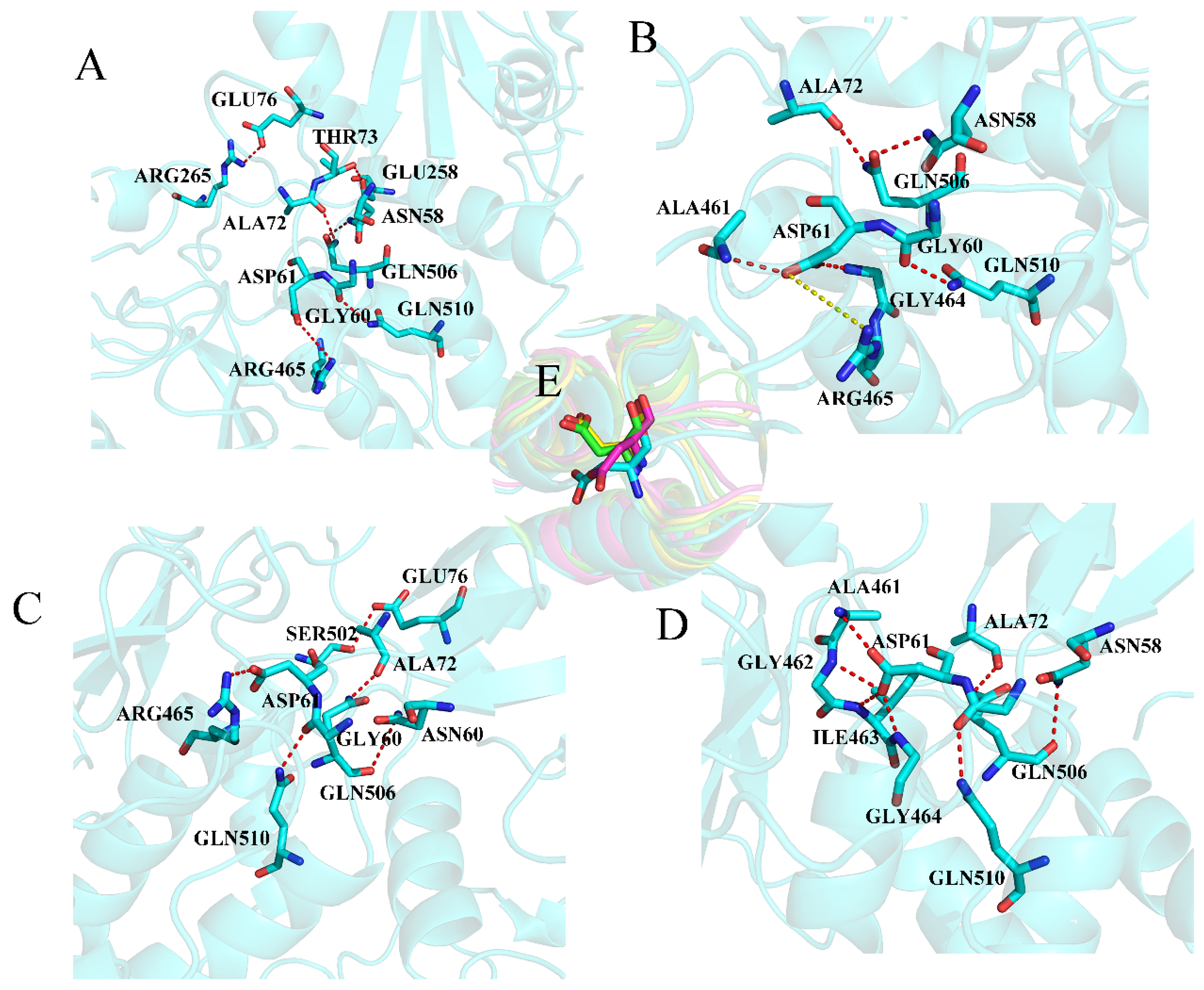 Molecules 26 00837 g005 Molecules 26 00837 g005