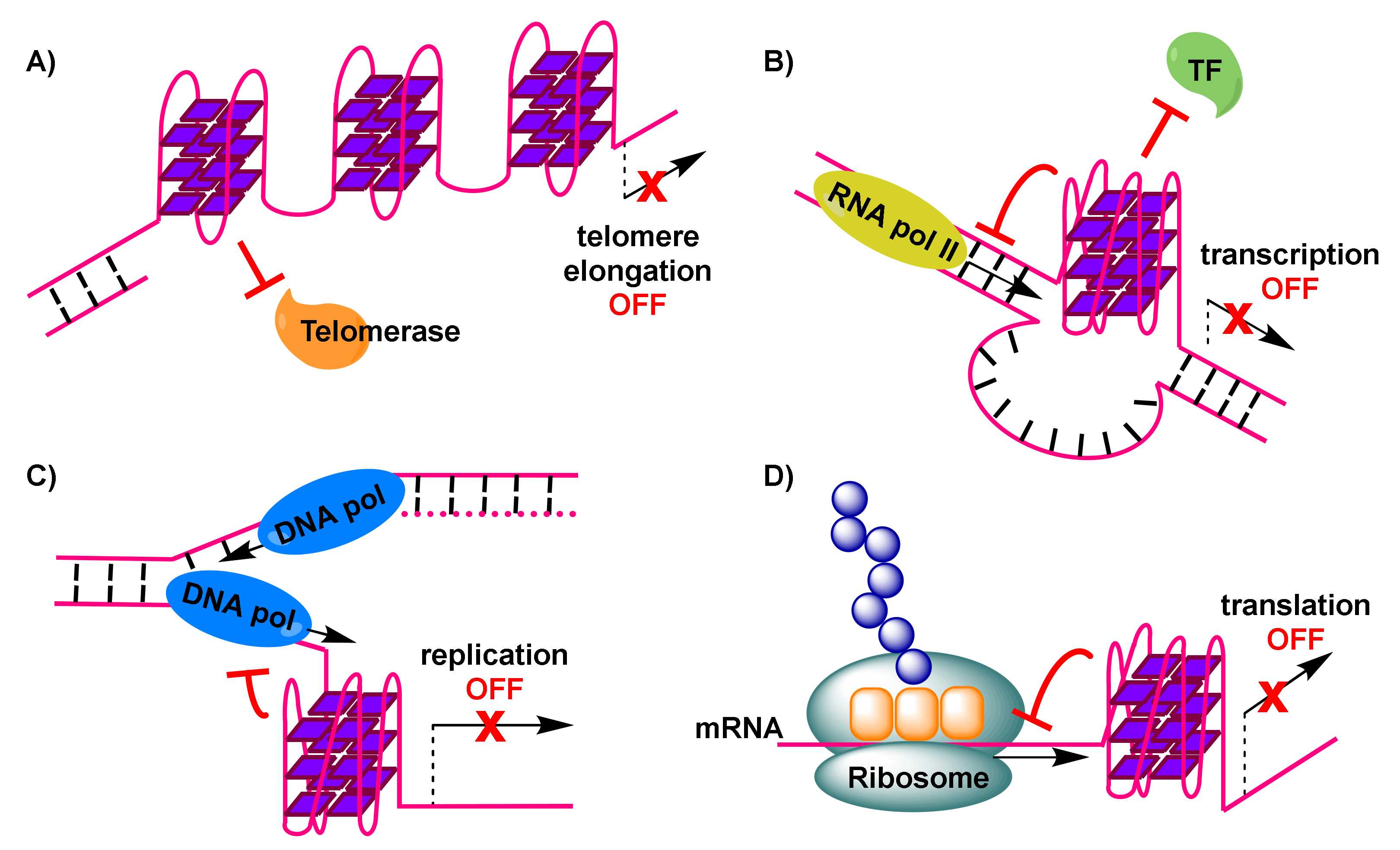 Molecules 26 00841 g002