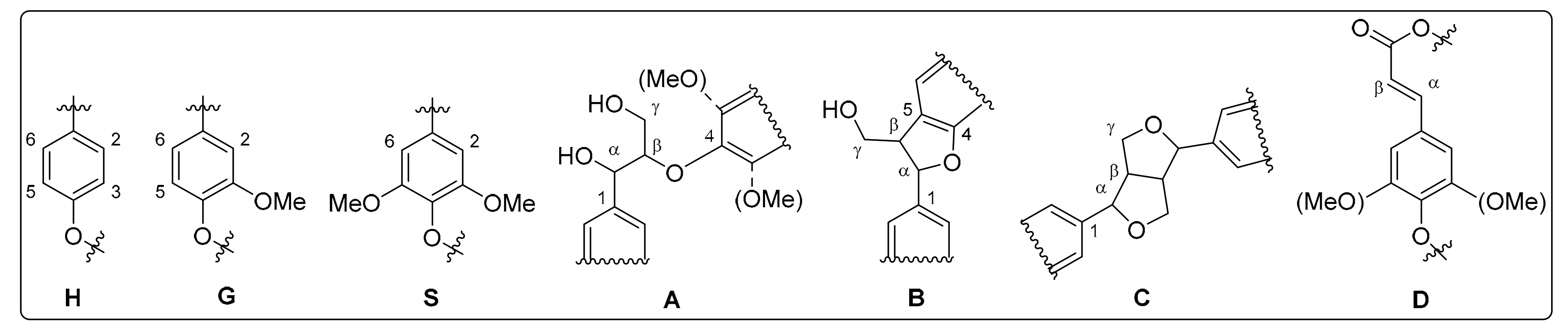 Molecules Free Full Text Lignins Isolated Via Catalyst Free Organosolv Pulping From Miscanthus X Giganteus M Sinensis M Robustus And M Nagara A Comparative Study Html Molecules Free Full Text Lignins Isolated Via Catalyst Free Organosolv Pulping From Miscanthus X Giganteus M Sinensis M Robustus And M Nagara A Comparative Study Html