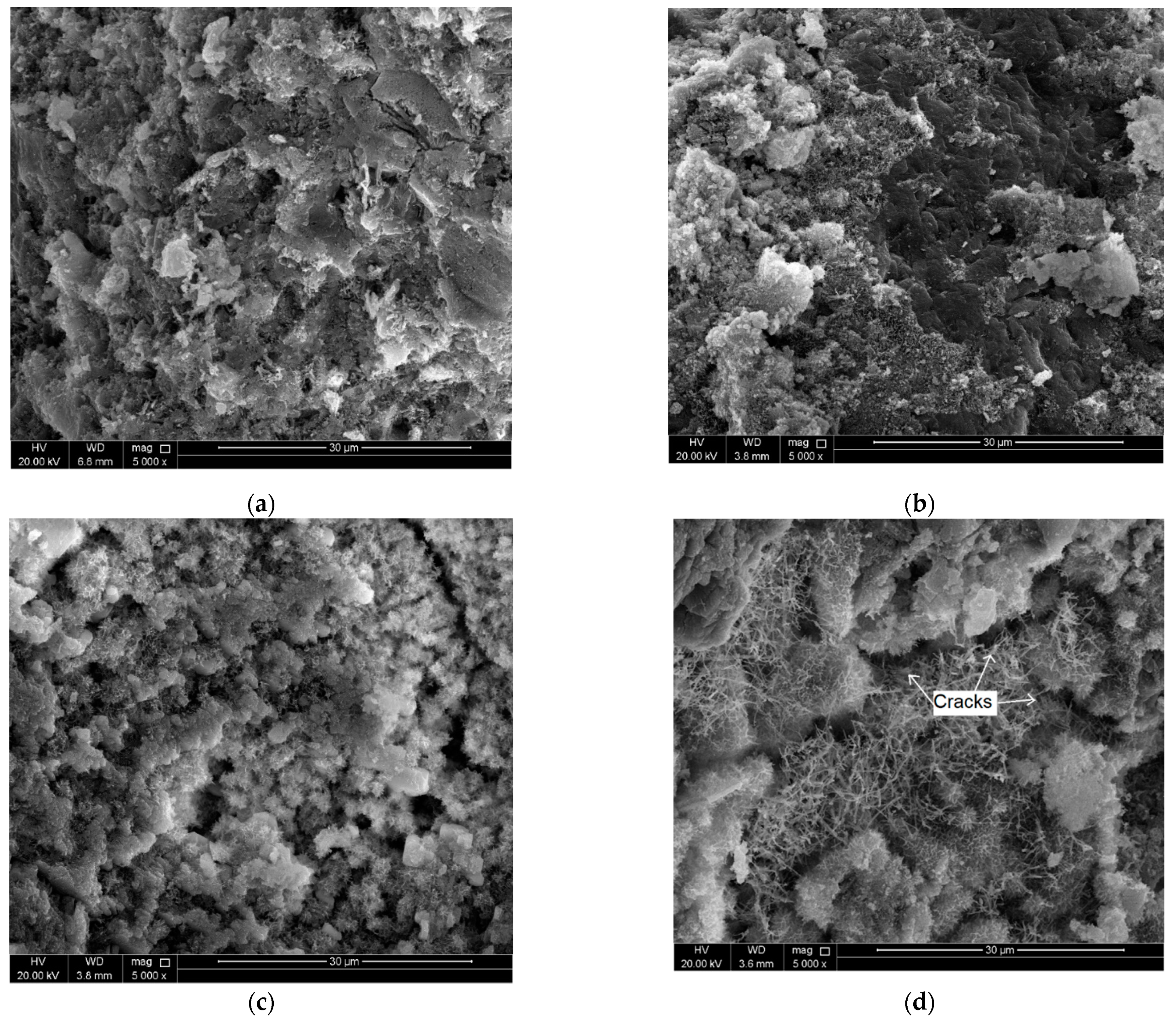 Molecules 26 00850 g003