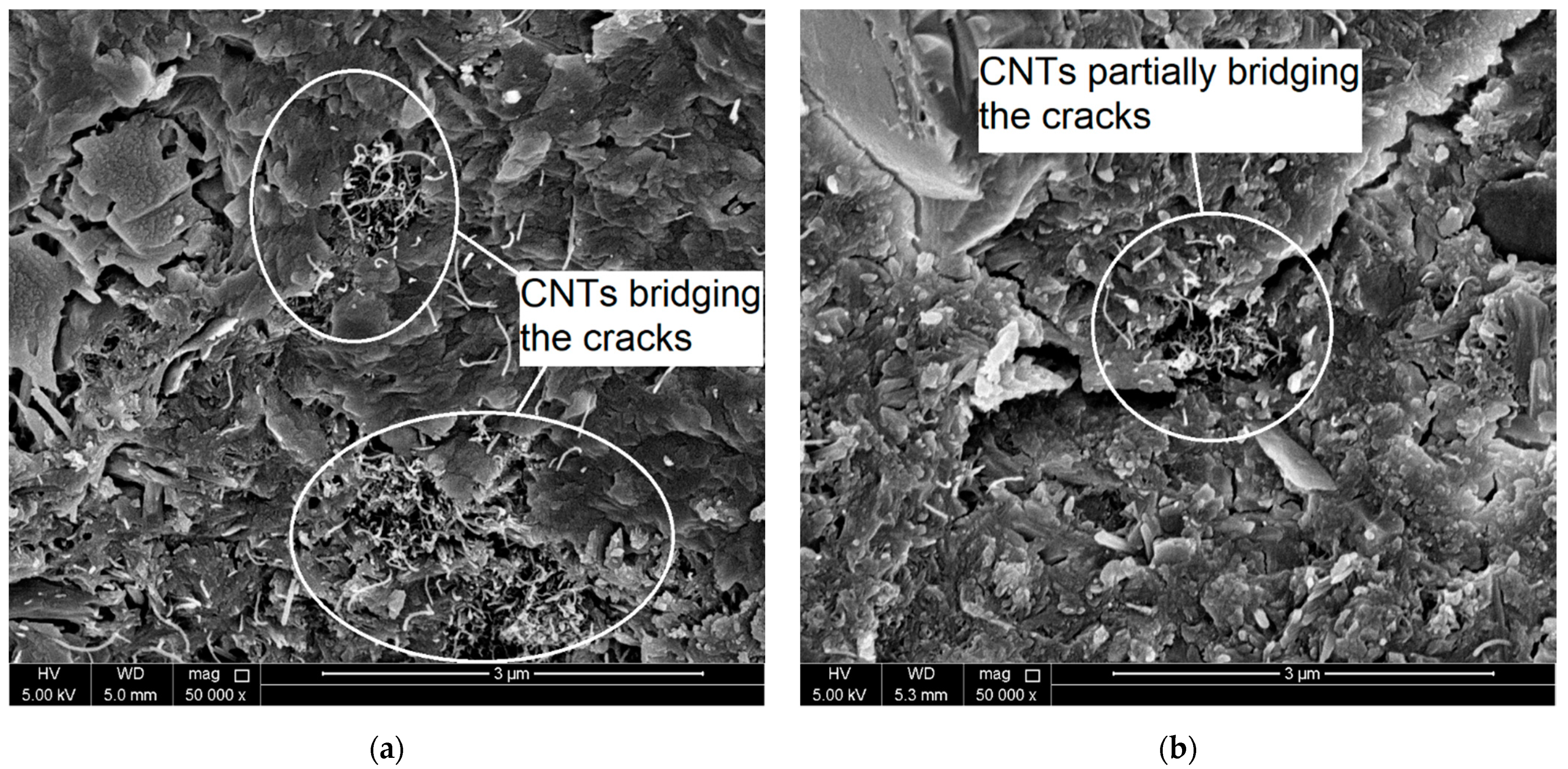 Molecules 26 00850 g005
