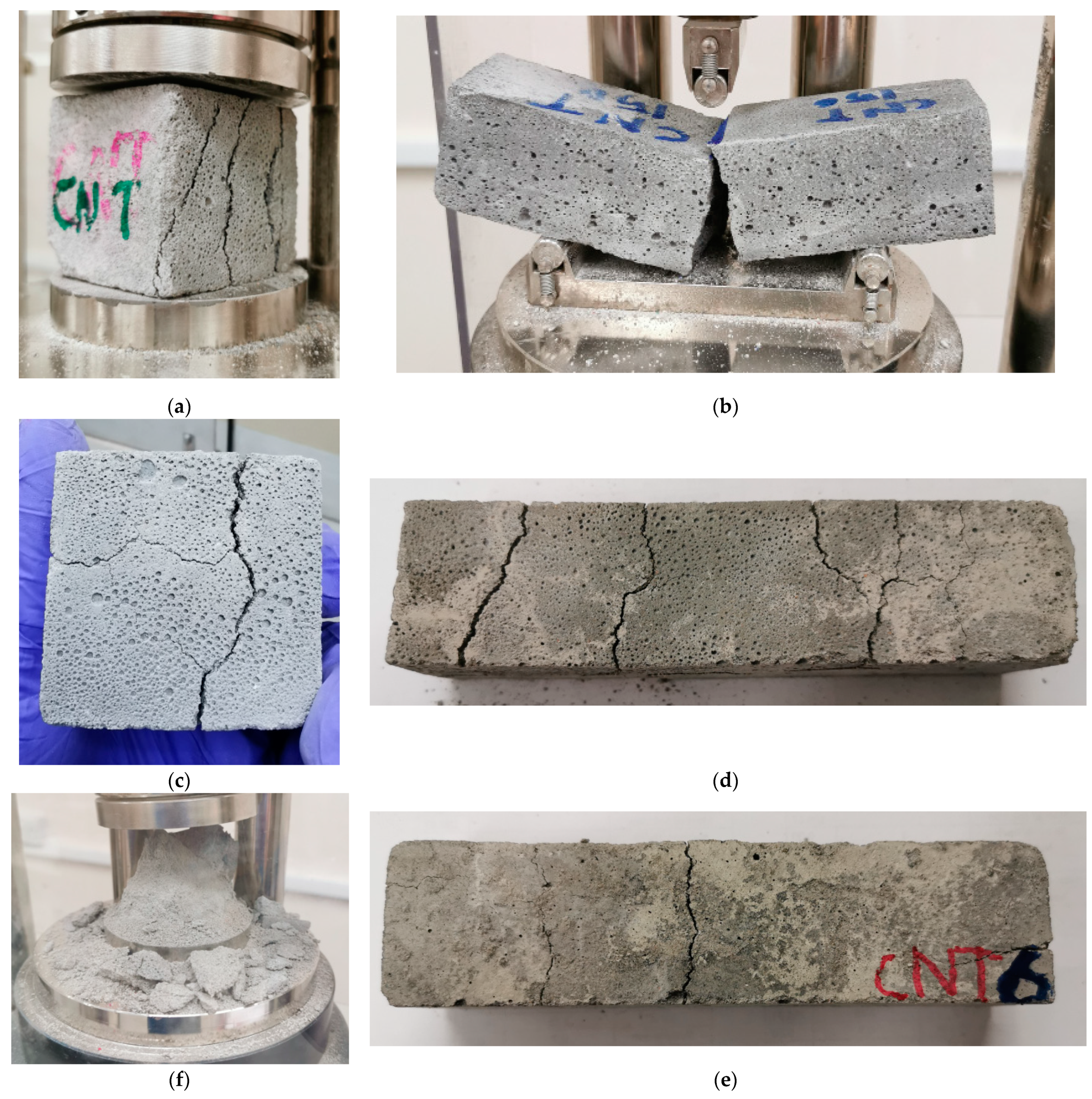 Molecules 26 00850 g010
