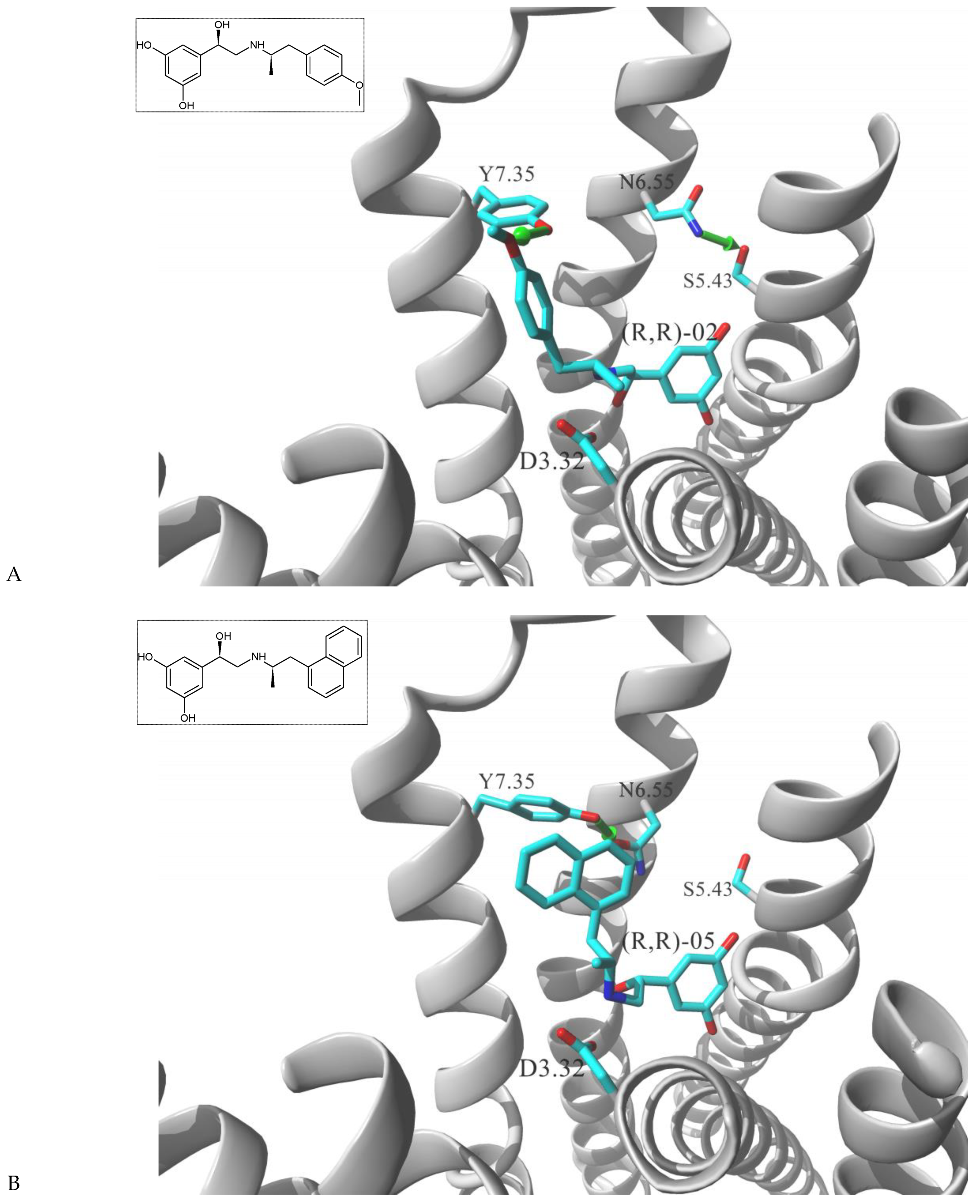 Molecules 26 00851 g001