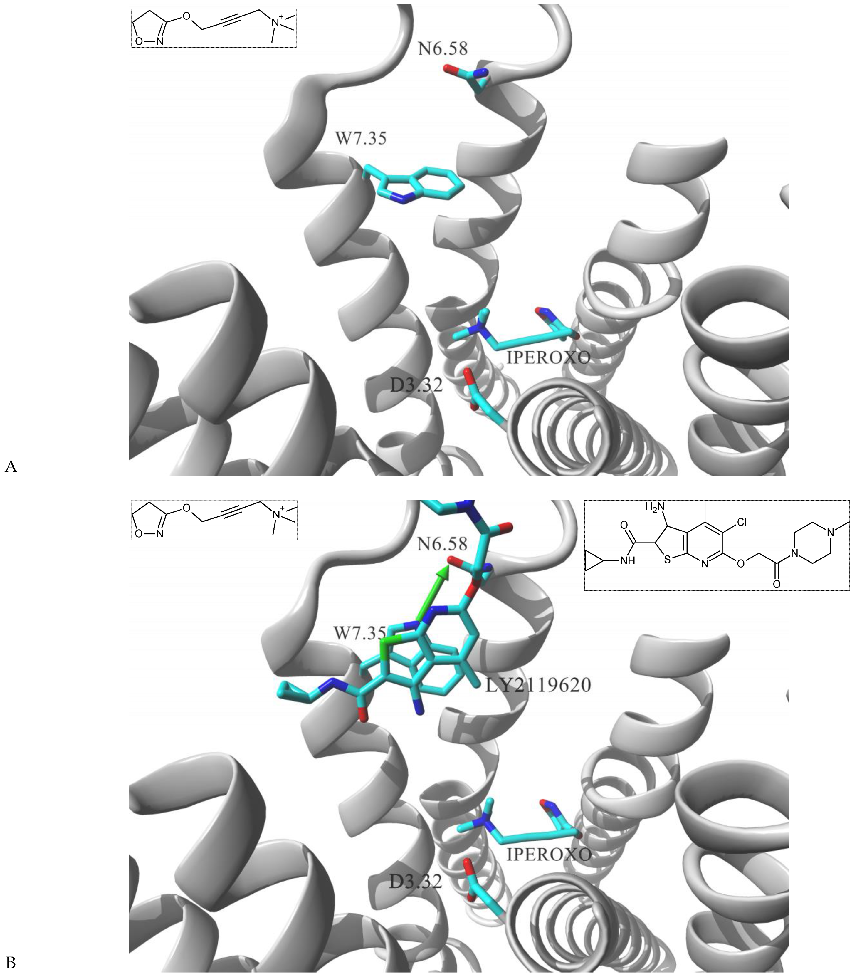 Molecules 26 00851 g002