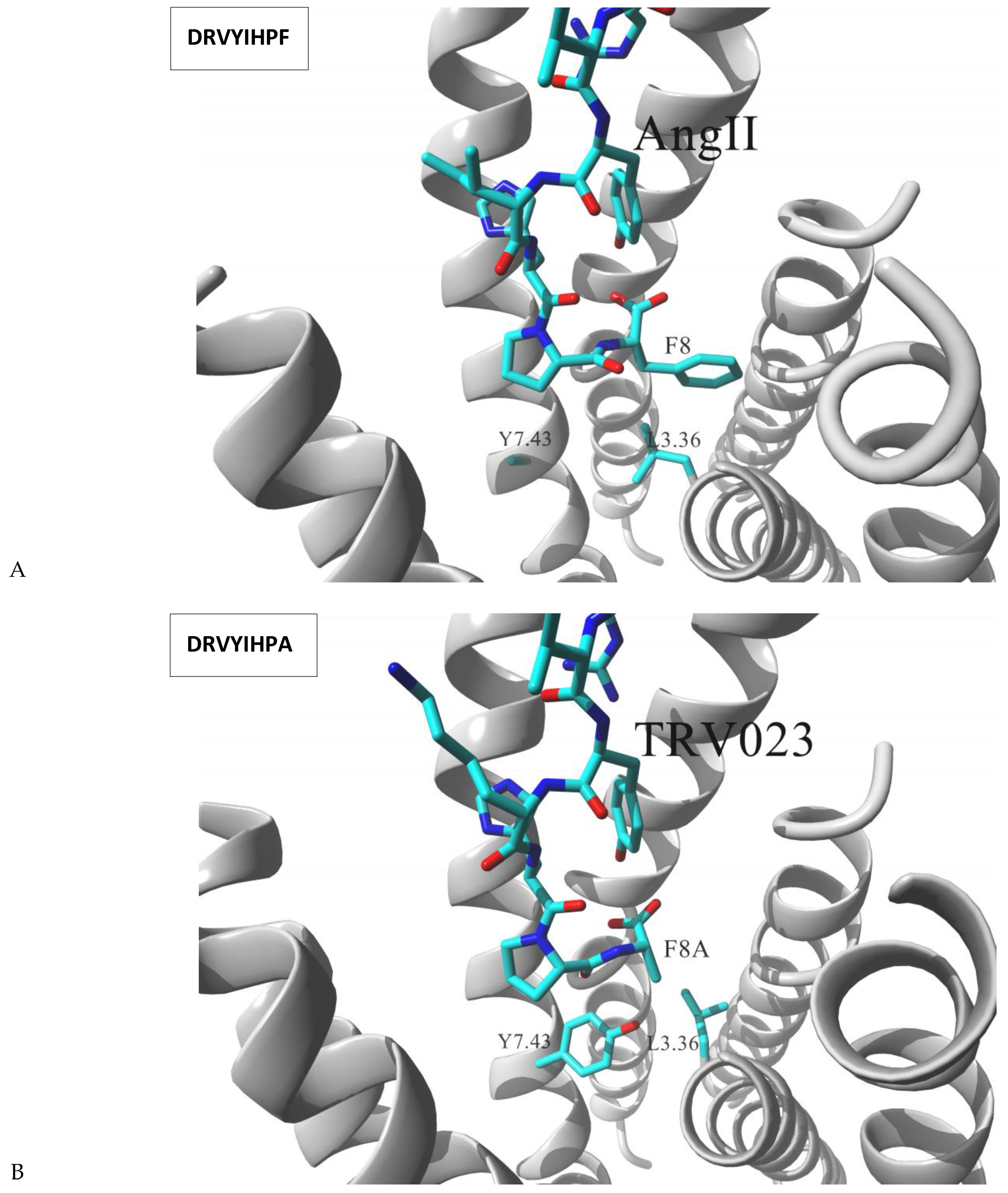 Molecules 26 00851 g004