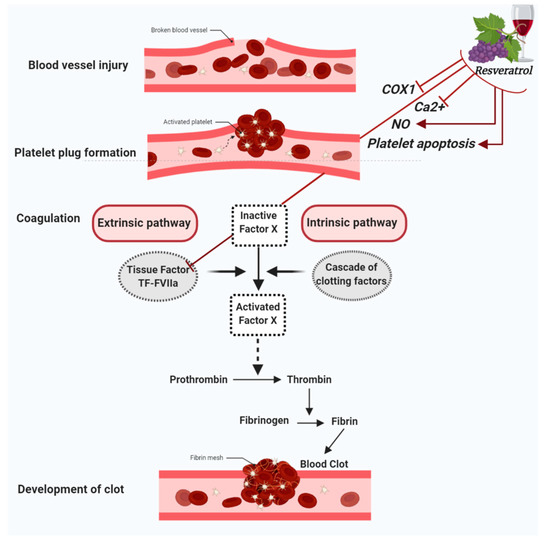 Molecules 26 00856 g001 550