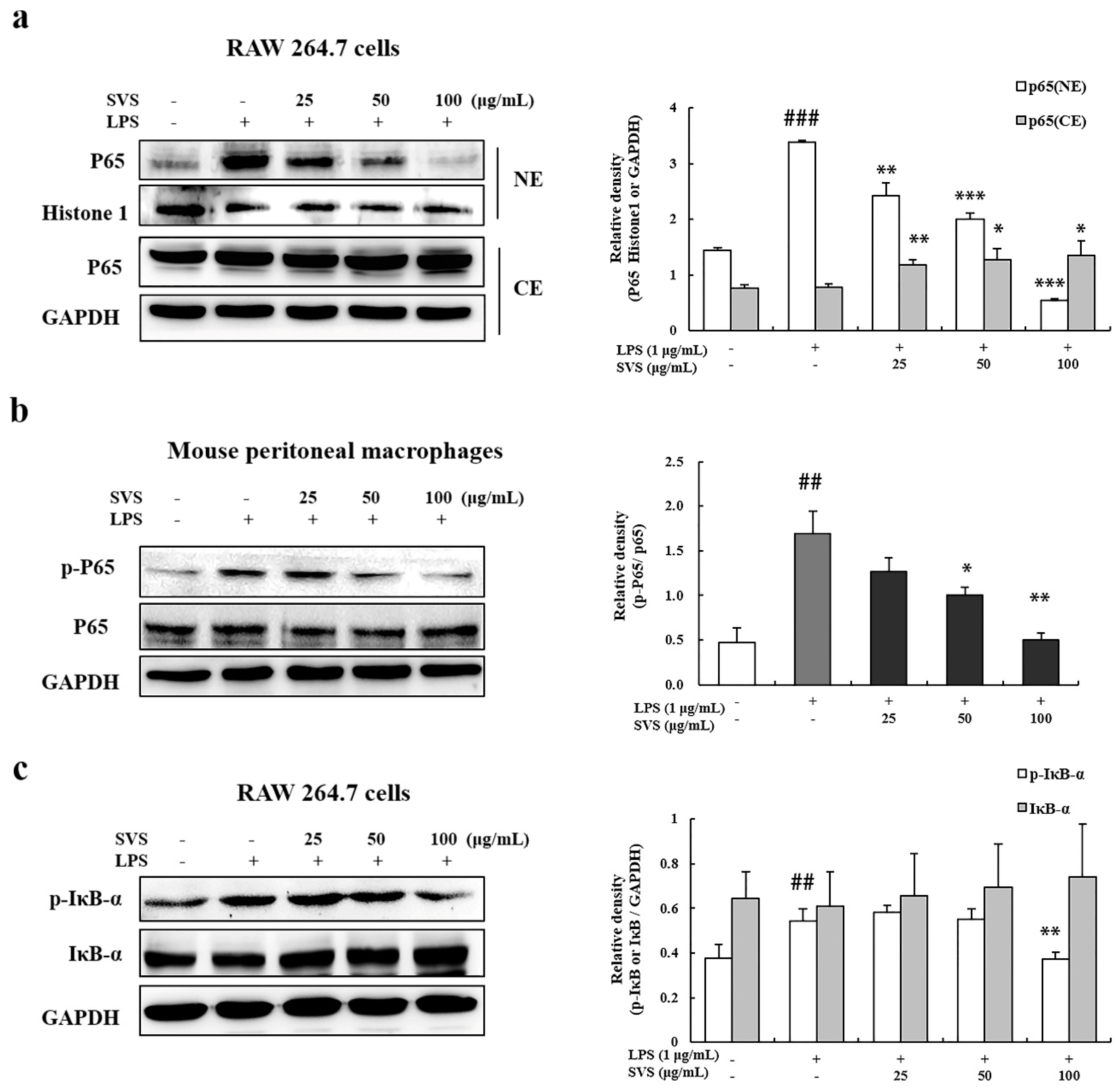 Molecules 26 00858 g005