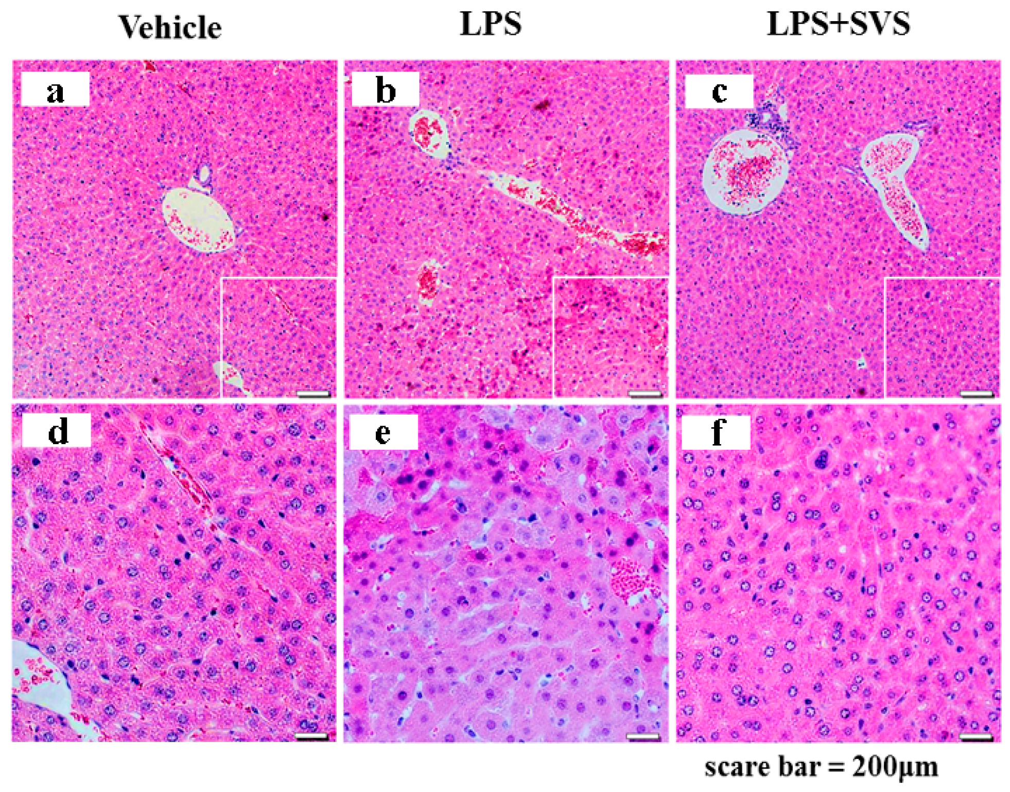 Molecules 26 00858 g011