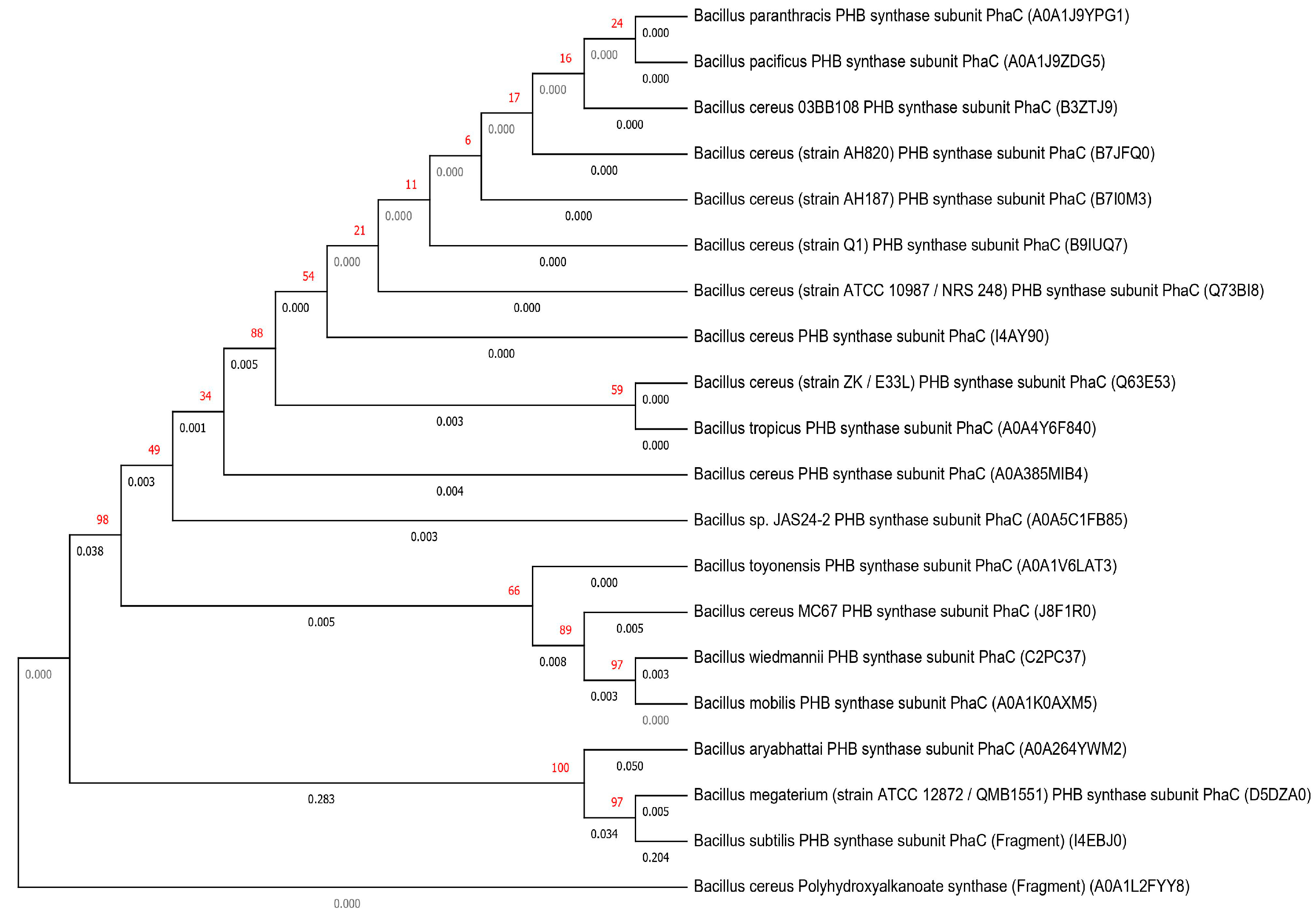 Molecules 26 00860 g001
