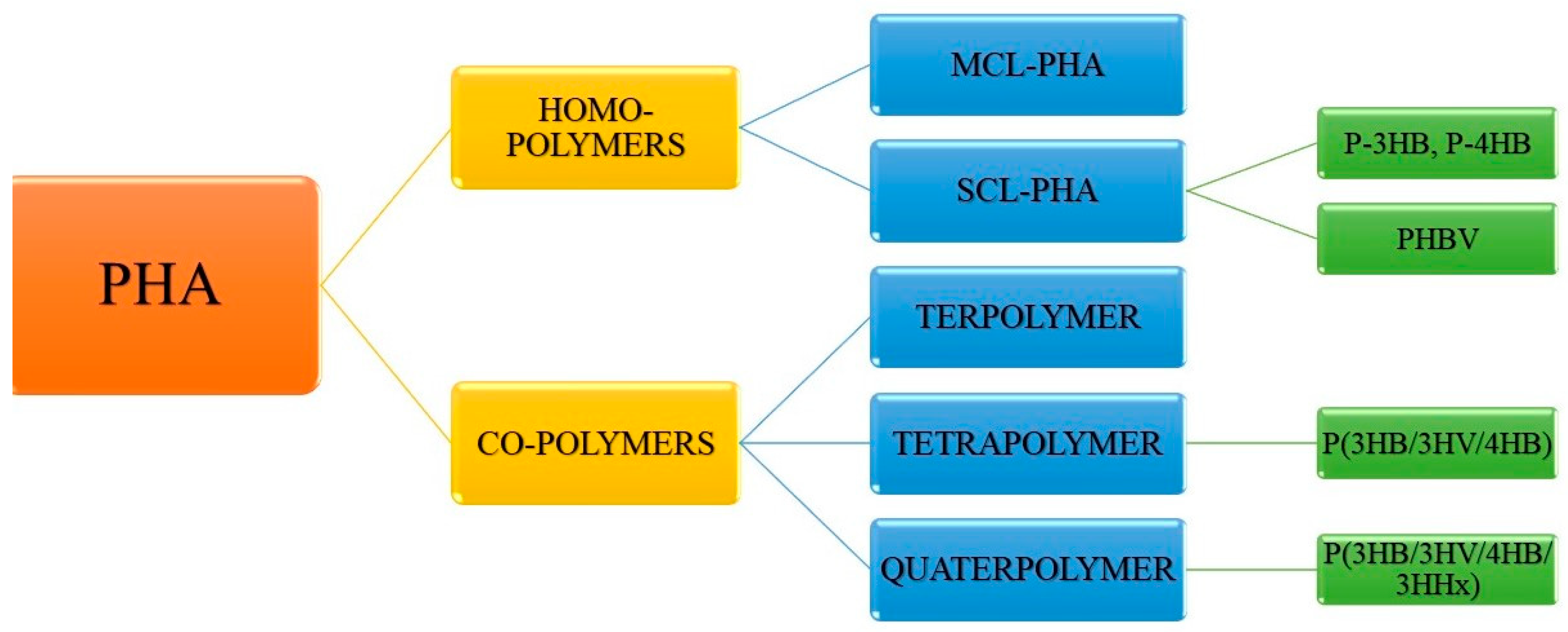 Molecules 26 00860 g002