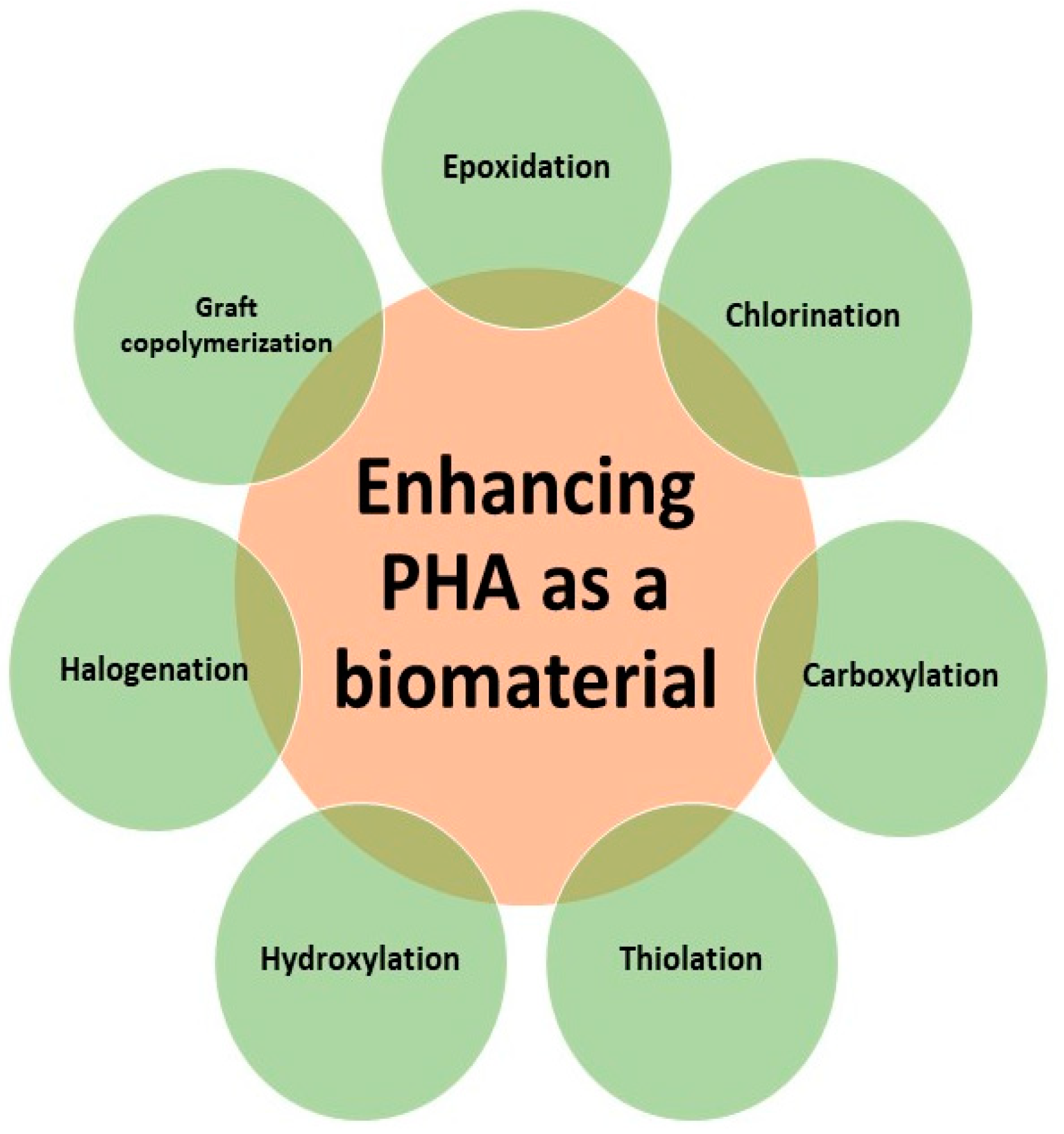 Molecules 26 00860 g003