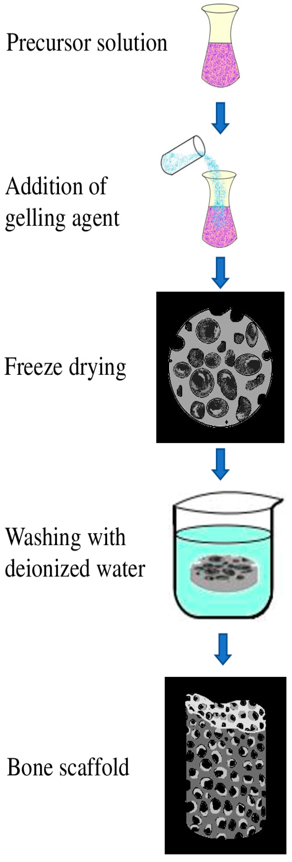 Molecules 26 00860 g009