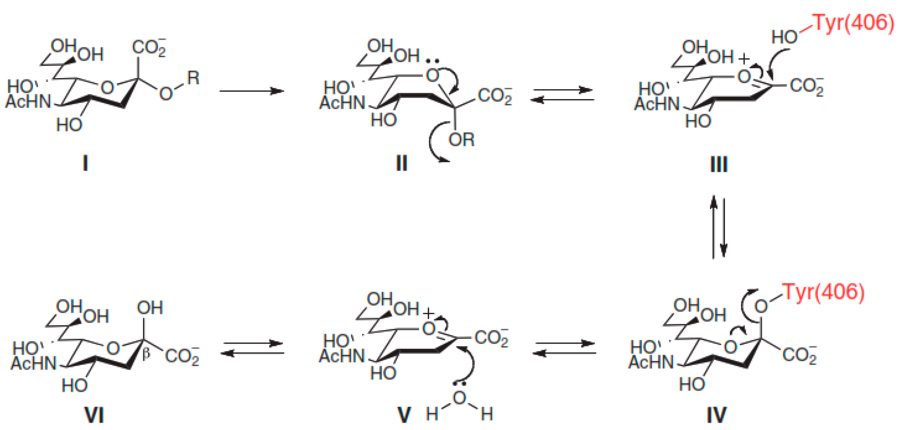 Molecules 26 00880 g008
