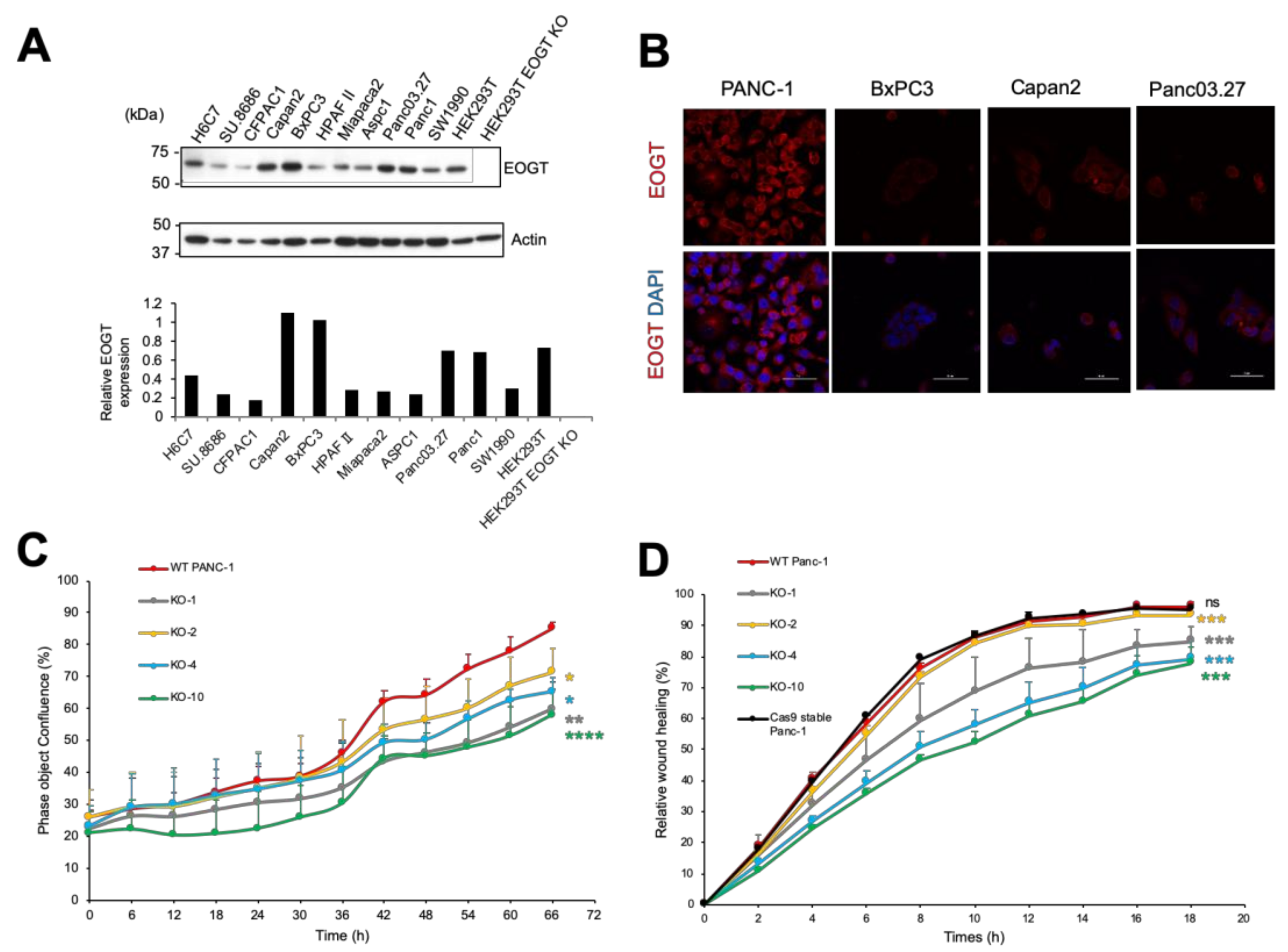Molecules 26 00882 g002 Molecules 26 00882 g002