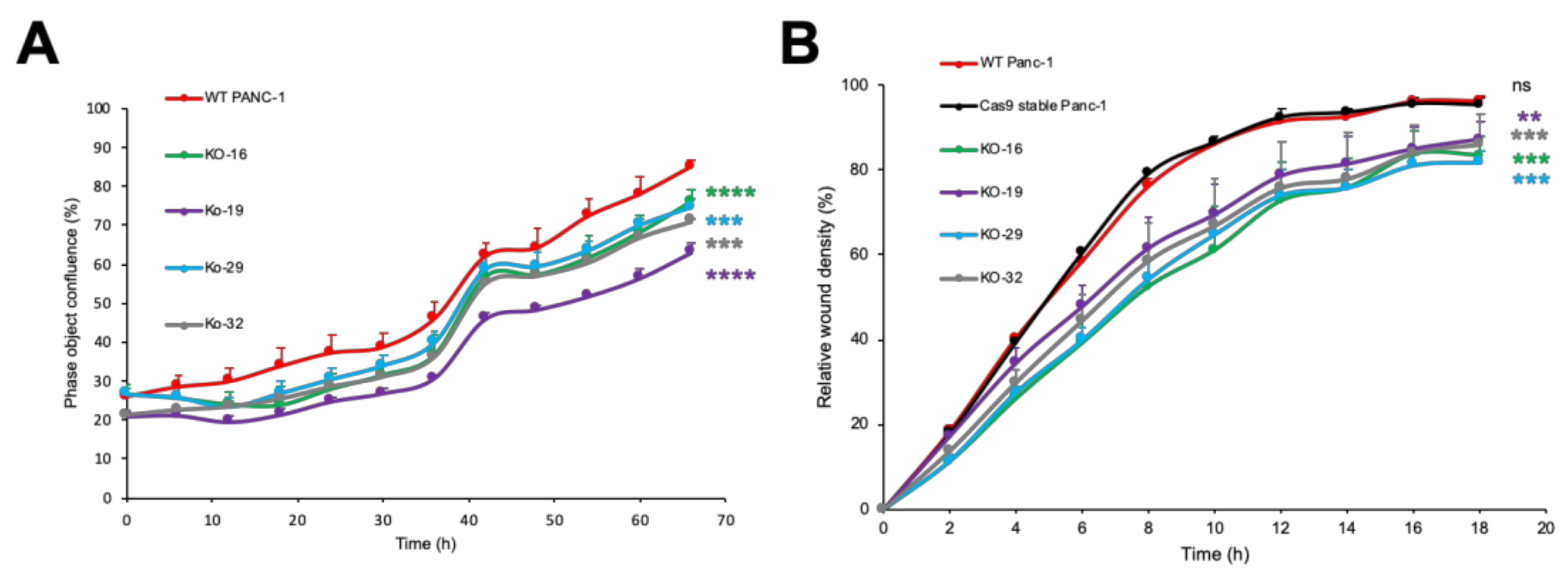 Molecules 26 00882 g003 Molecules 26 00882 g003