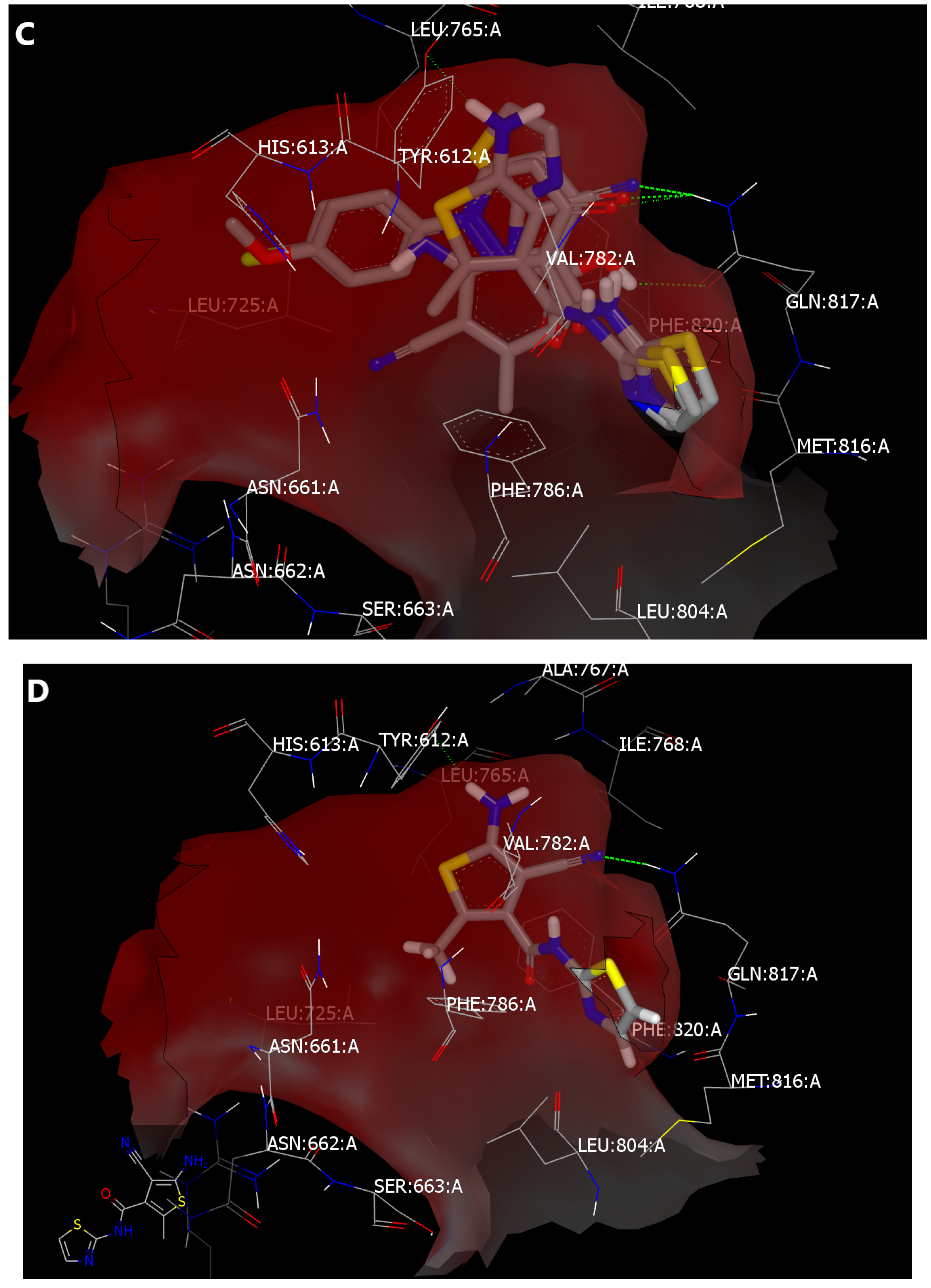 Molecules 26 00902 g003b Molecules 26 00902 g003b