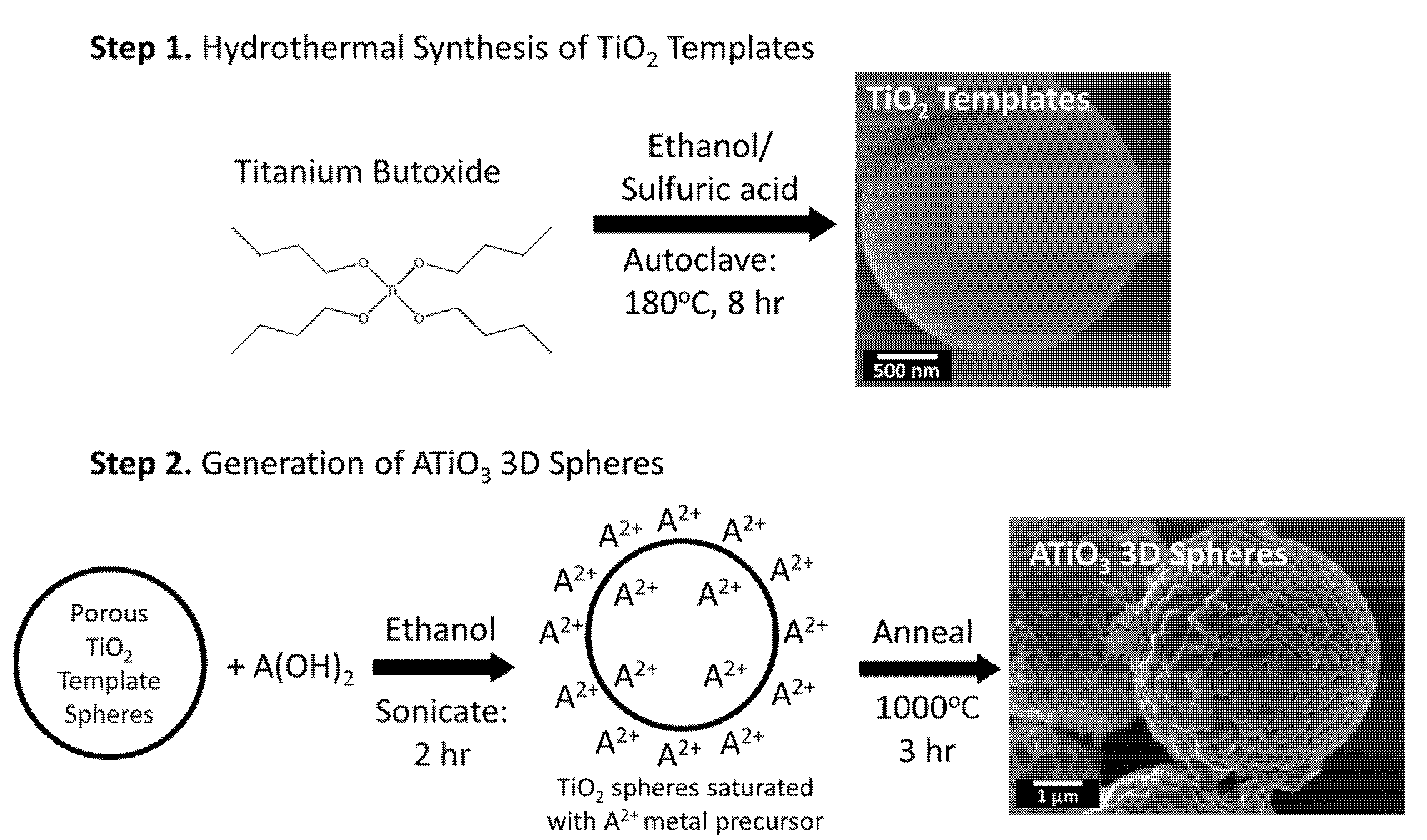Molecules 26 00909 g007