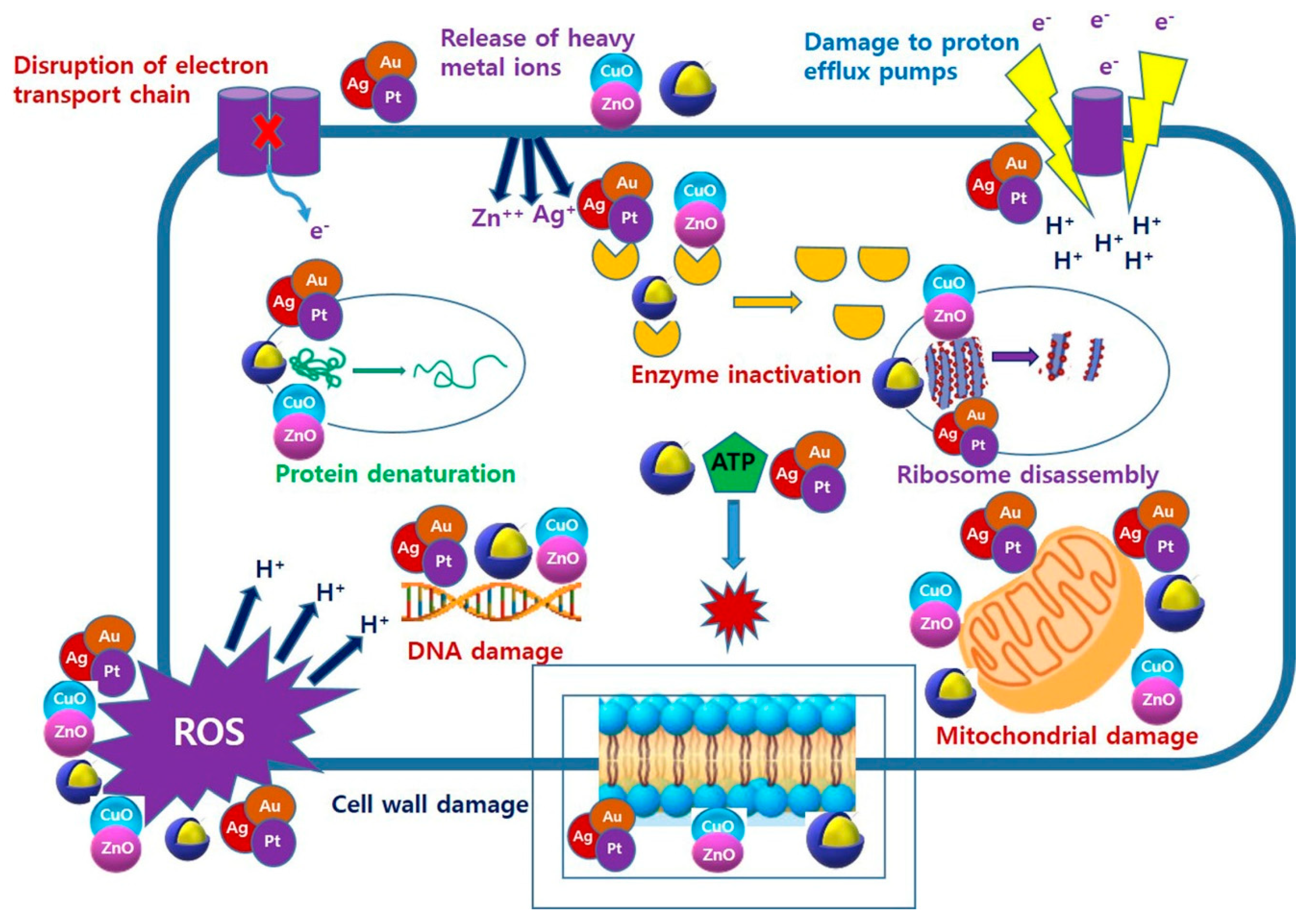 Molecules 26 00912 g002