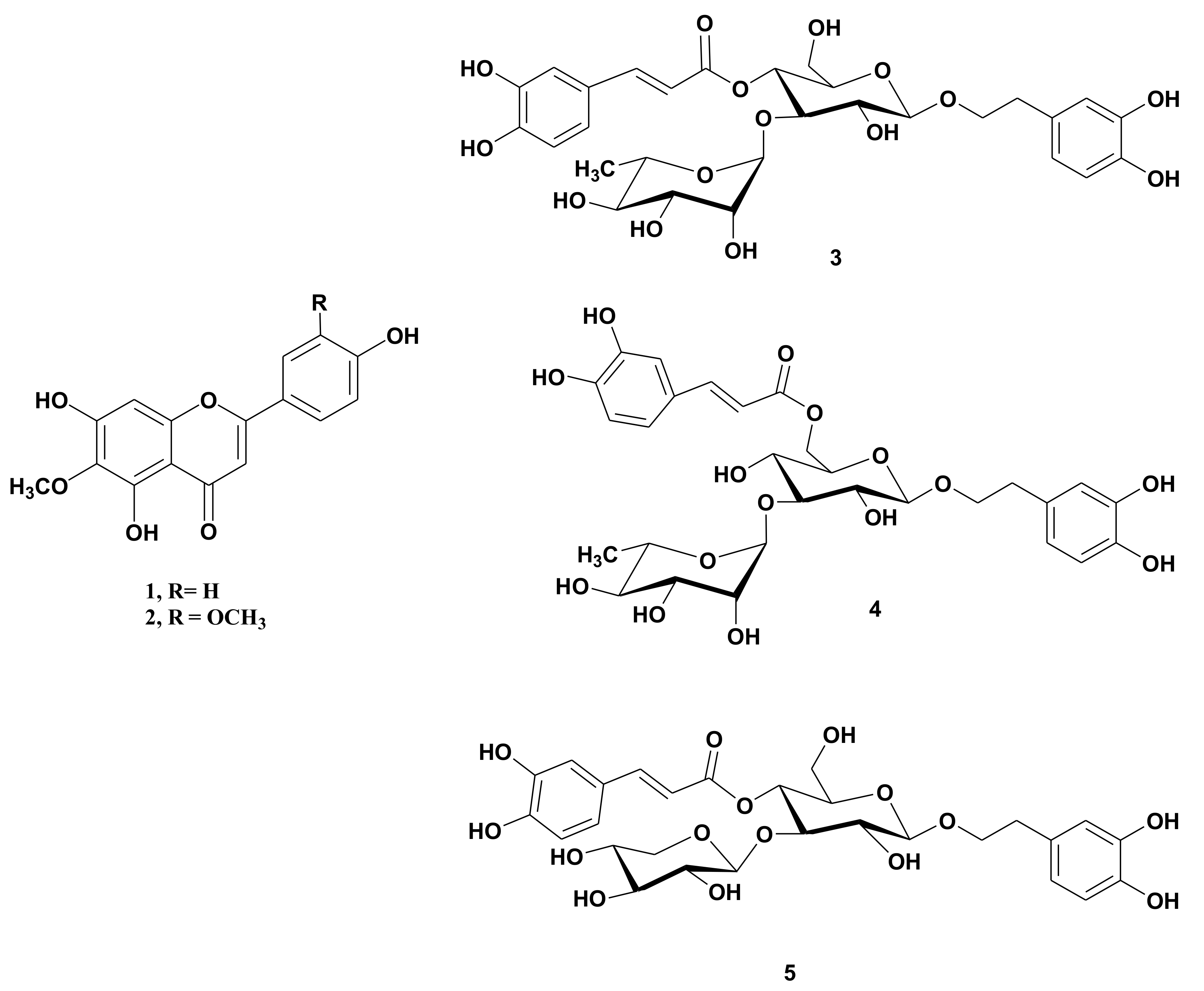 Molecules 26 00914 g001