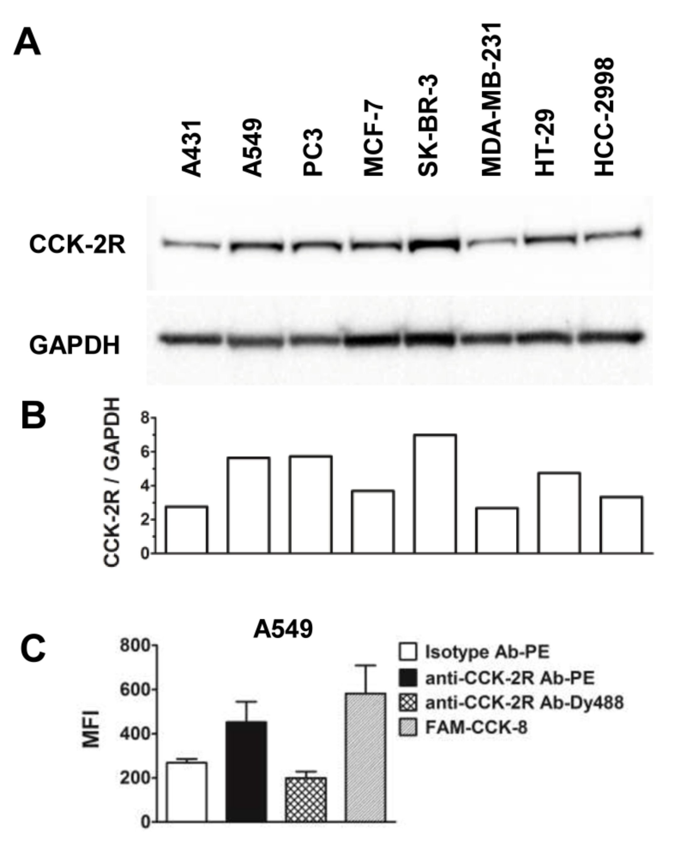 Molecules 26 00918 g001