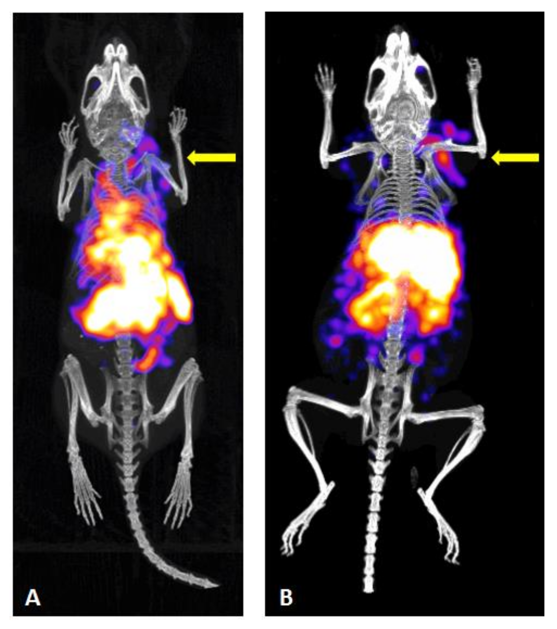 Molecules 26 00918 g003