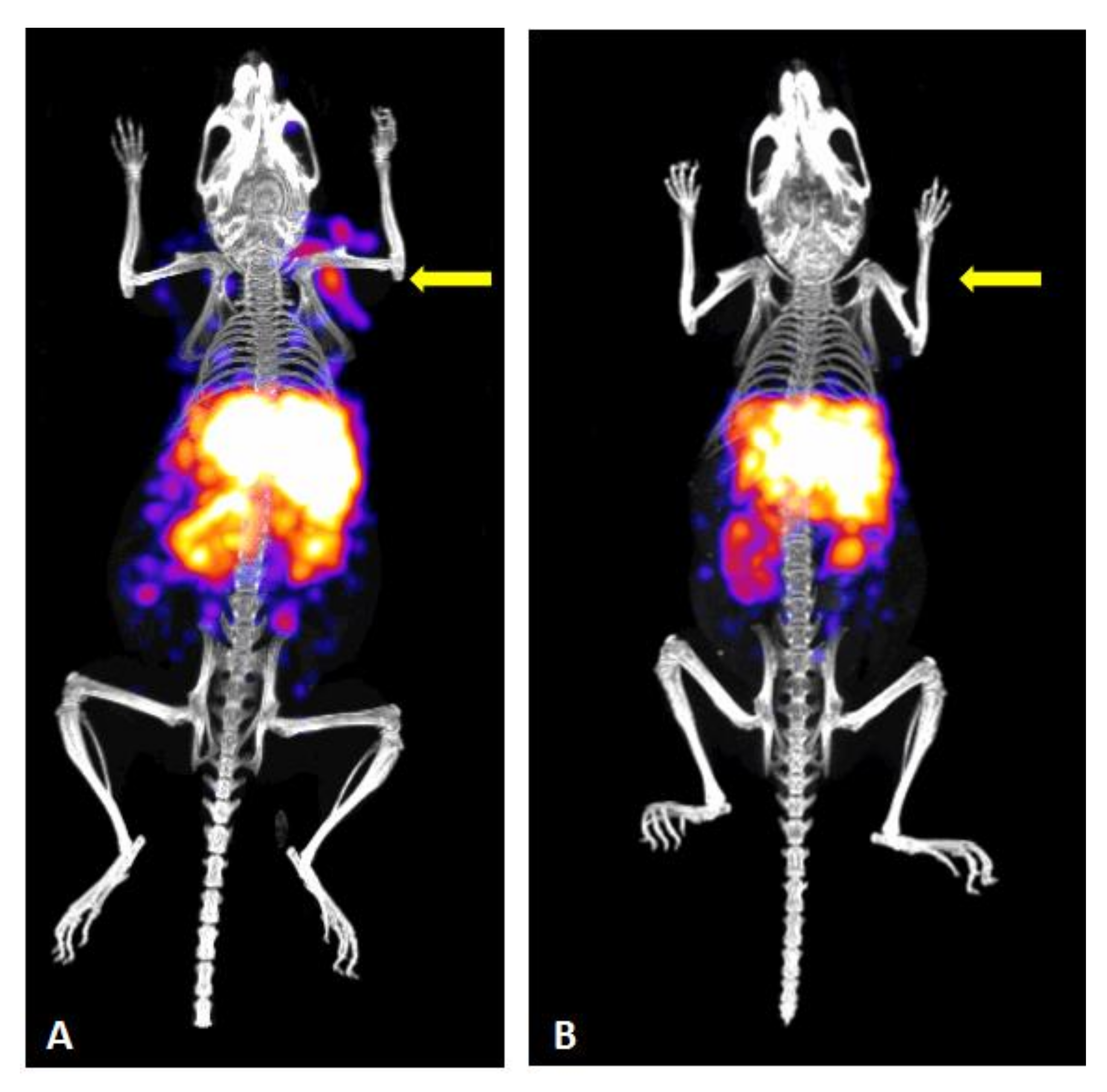 Molecules 26 00918 g006
