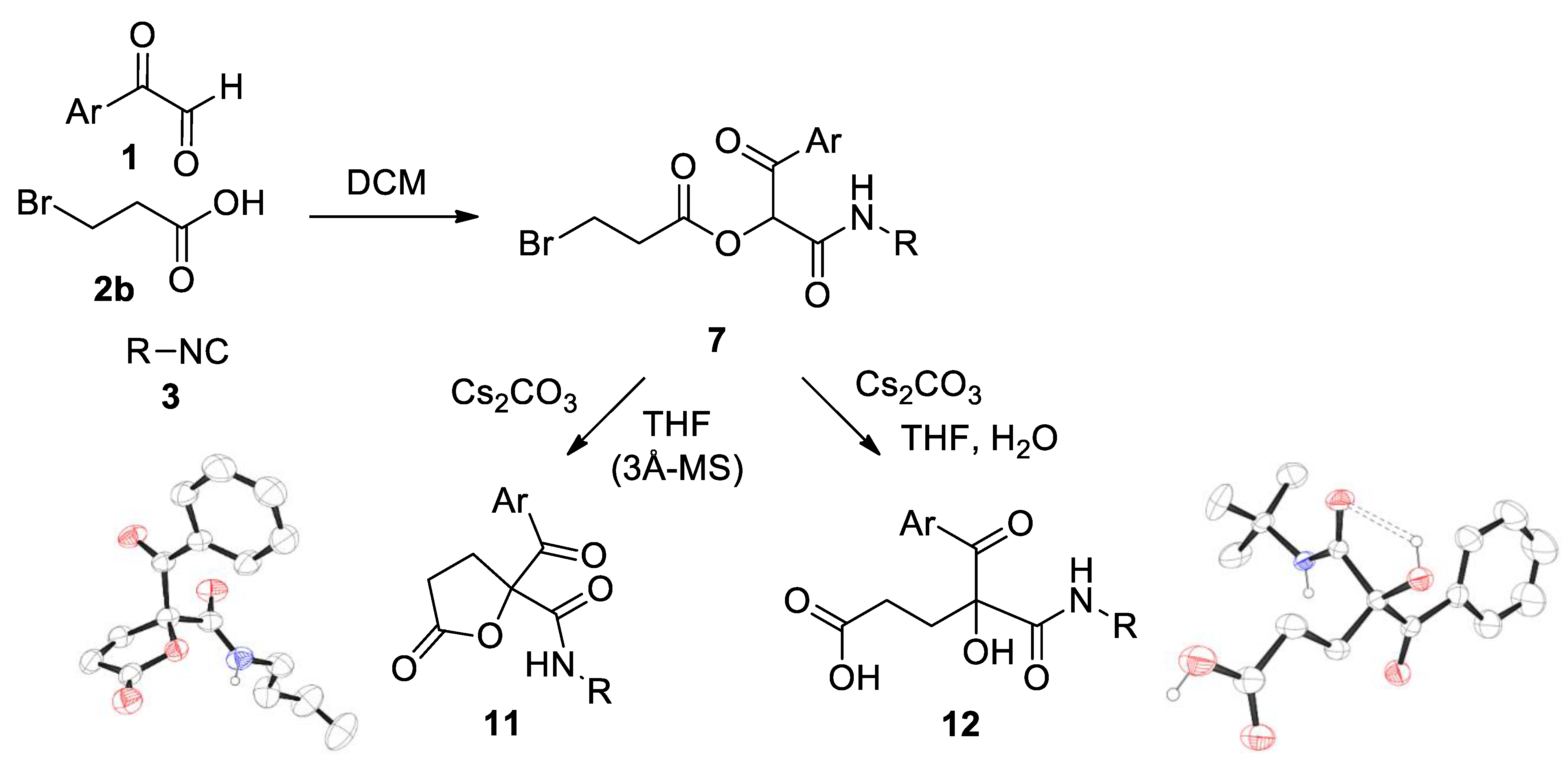 Molecules 26 00919 sch005