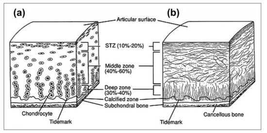 Applications of Vibrational Spectroscopy for Analysis of