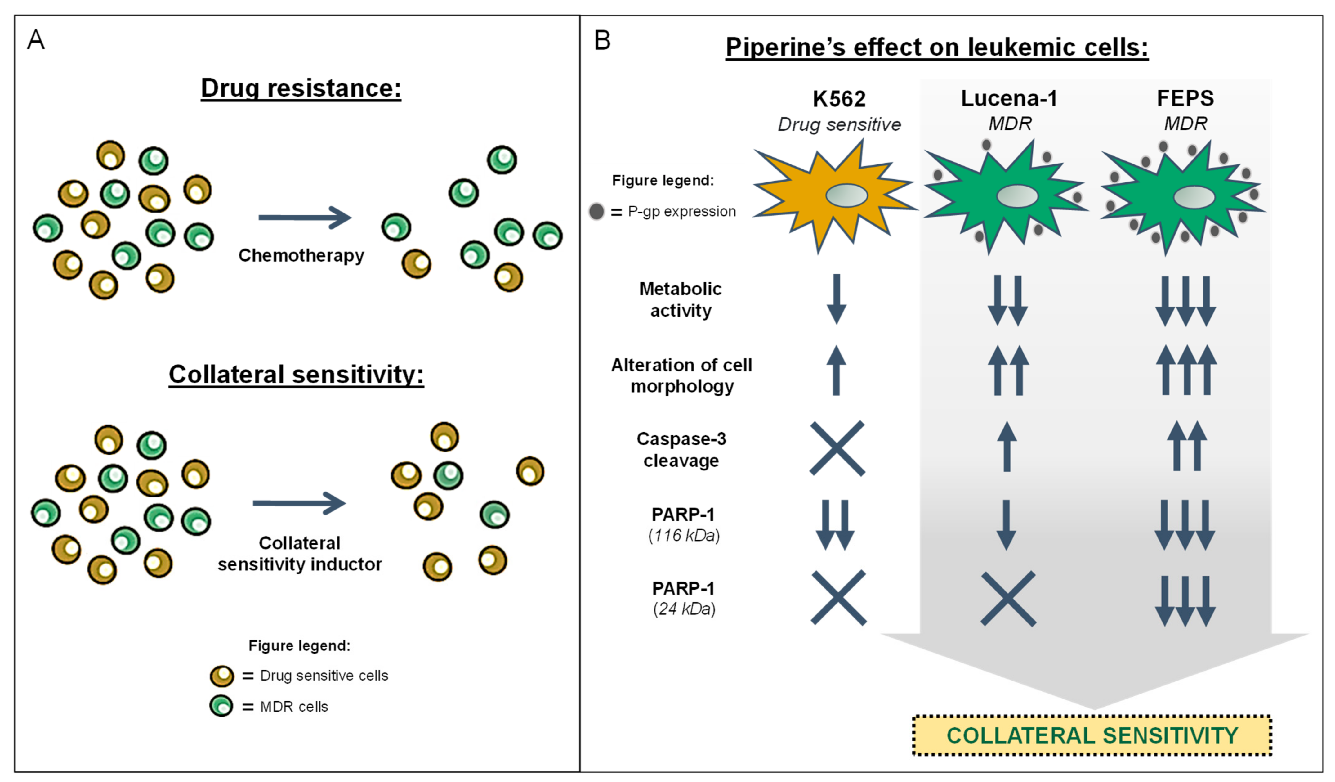 Molecules 26 00934 g011