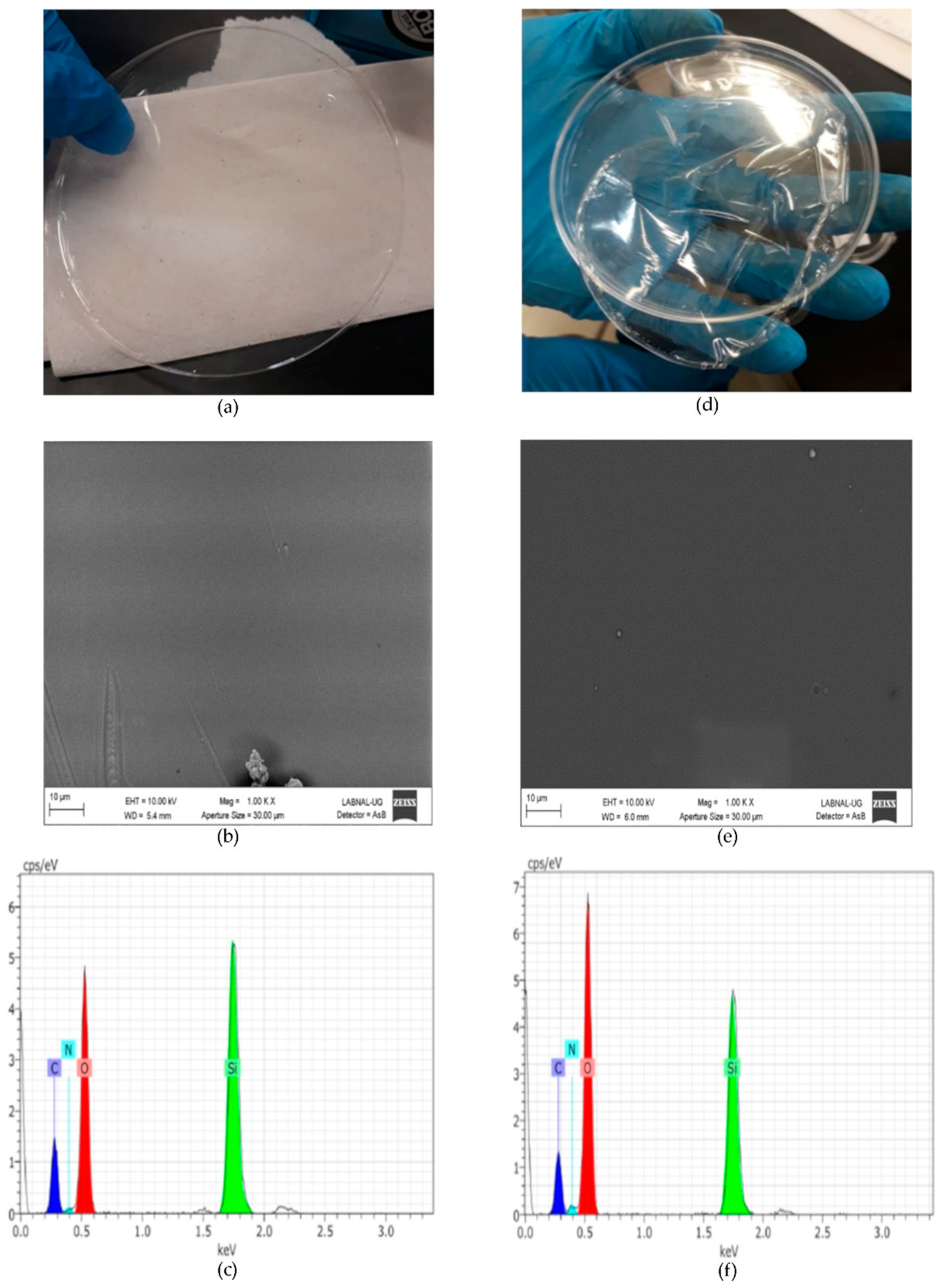 Molecules 26 00938 g001