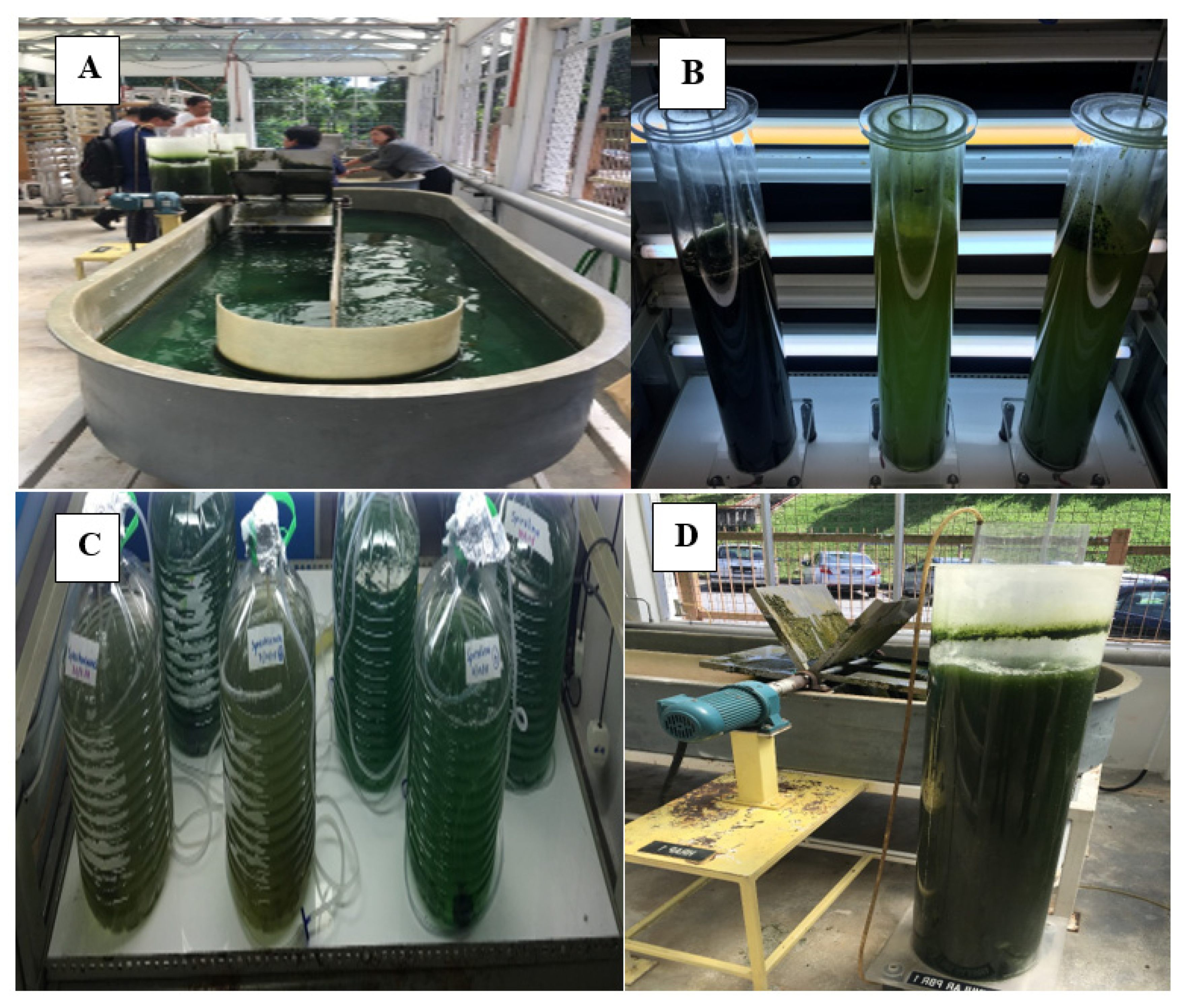 Molecules 26 00943 g002 Molecules 26 00943 g002