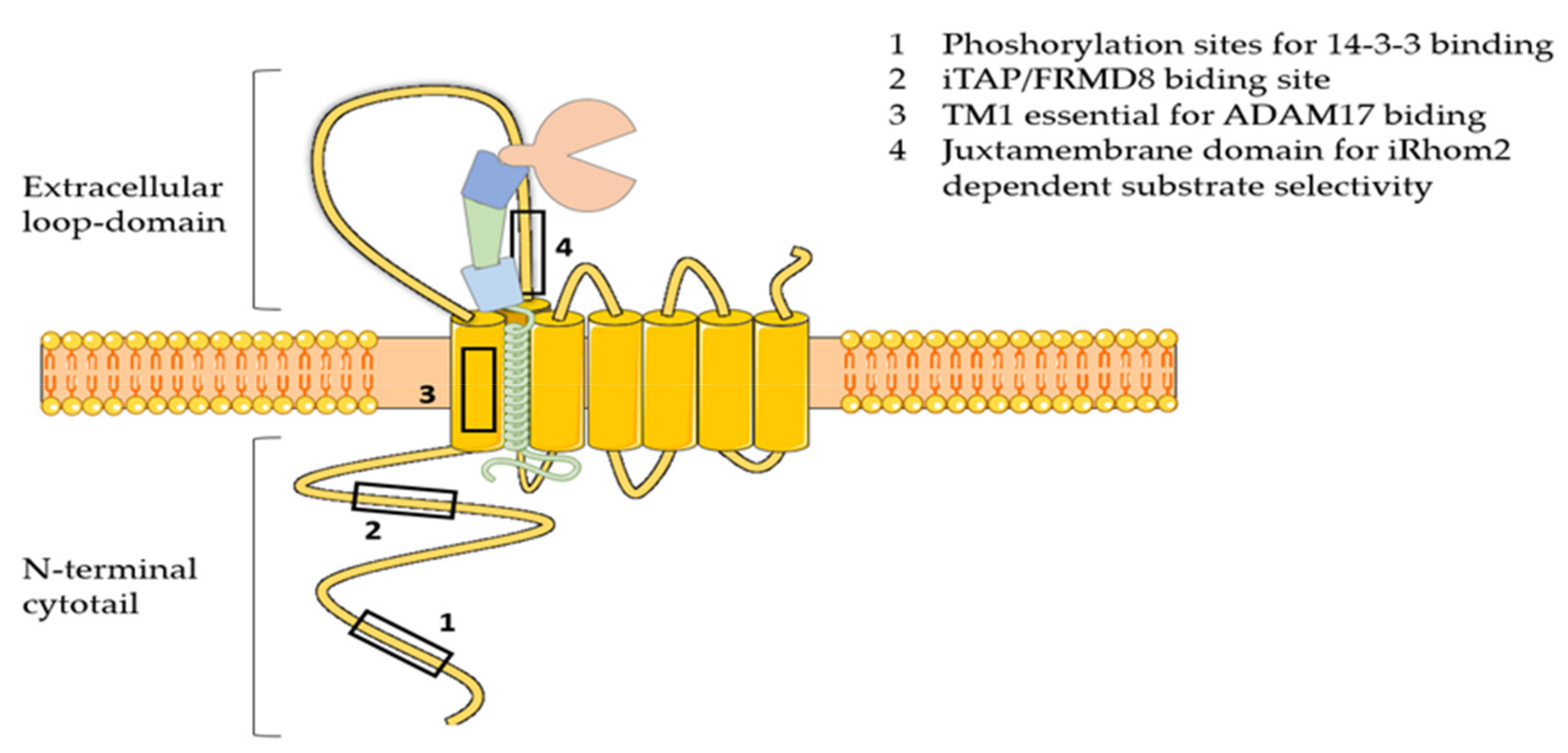 Molecules 26 00944 g002