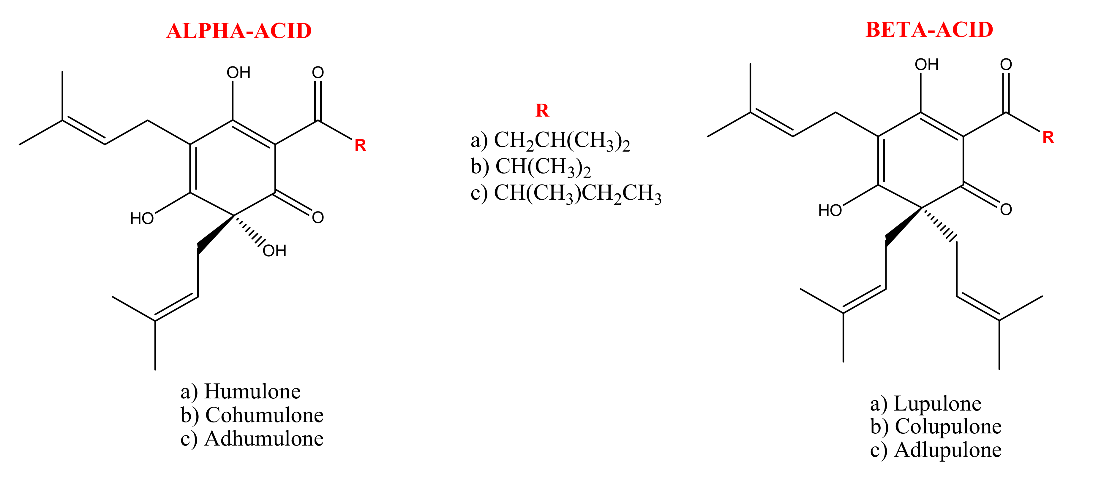 Molecules 26 00954 g001 Molecules 26 00954 g001
