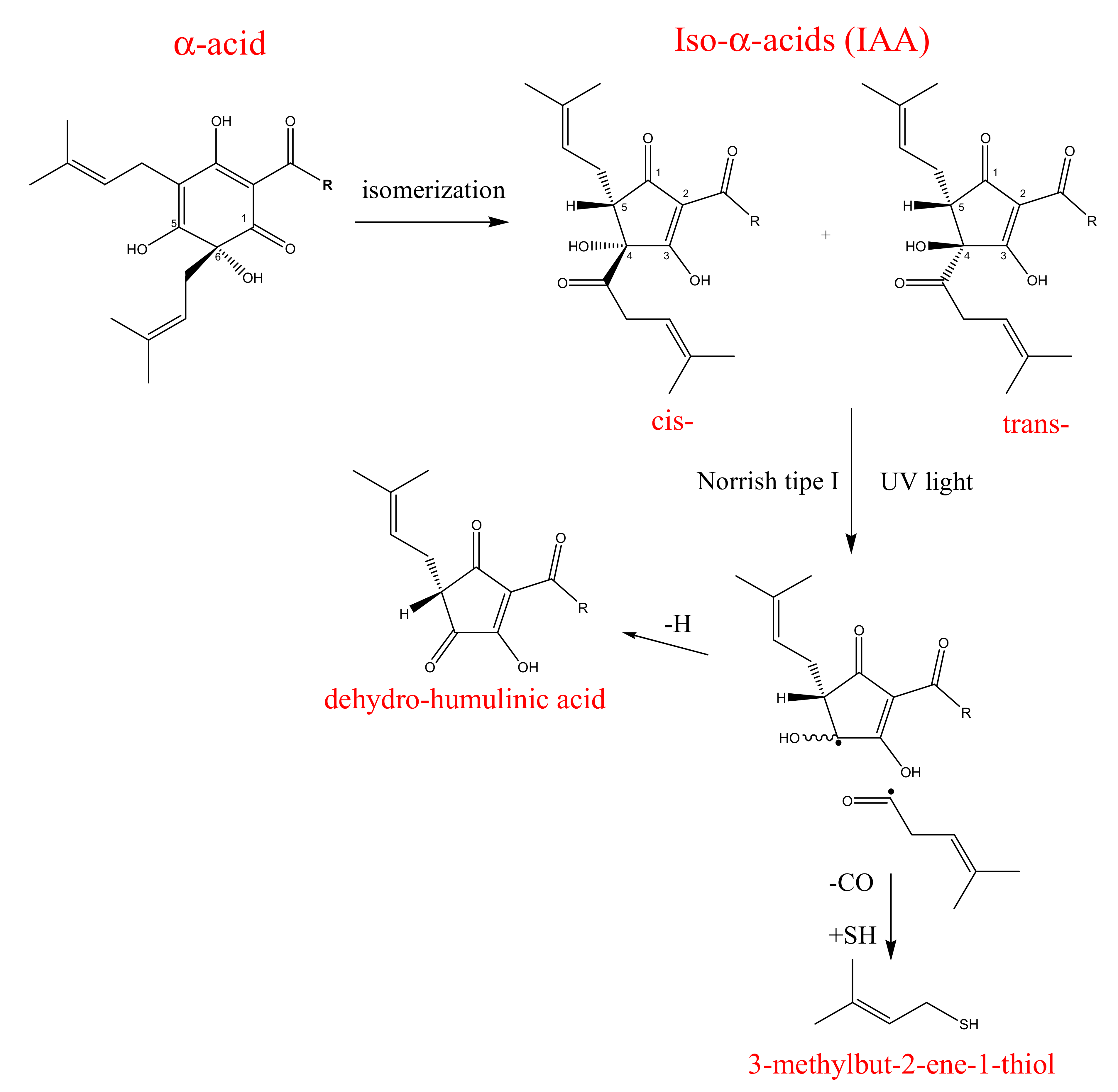 Molecules 26 00954 g002 Molecules 26 00954 g002