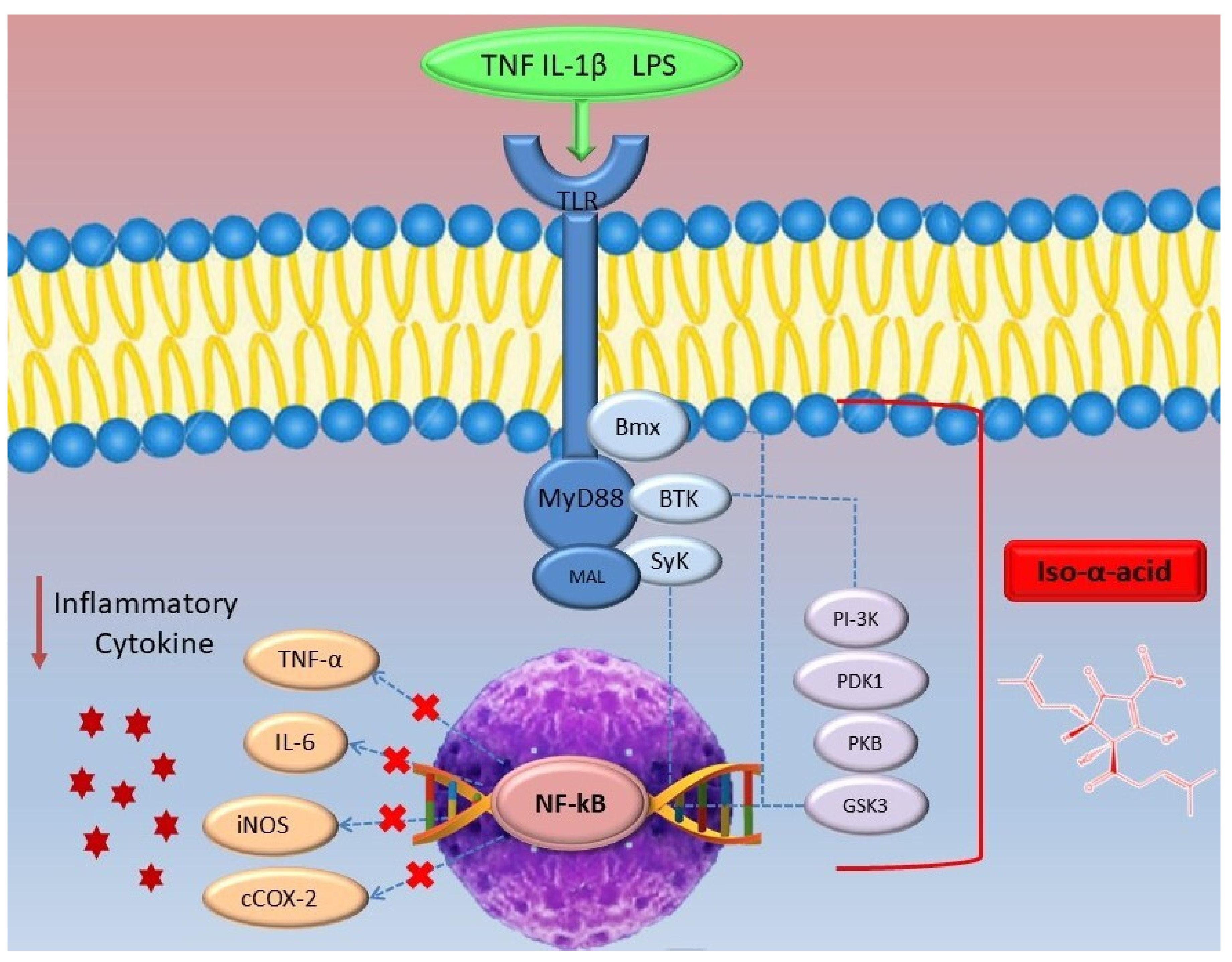 Molecules 26 00954 g009 Molecules 26 00954 g009